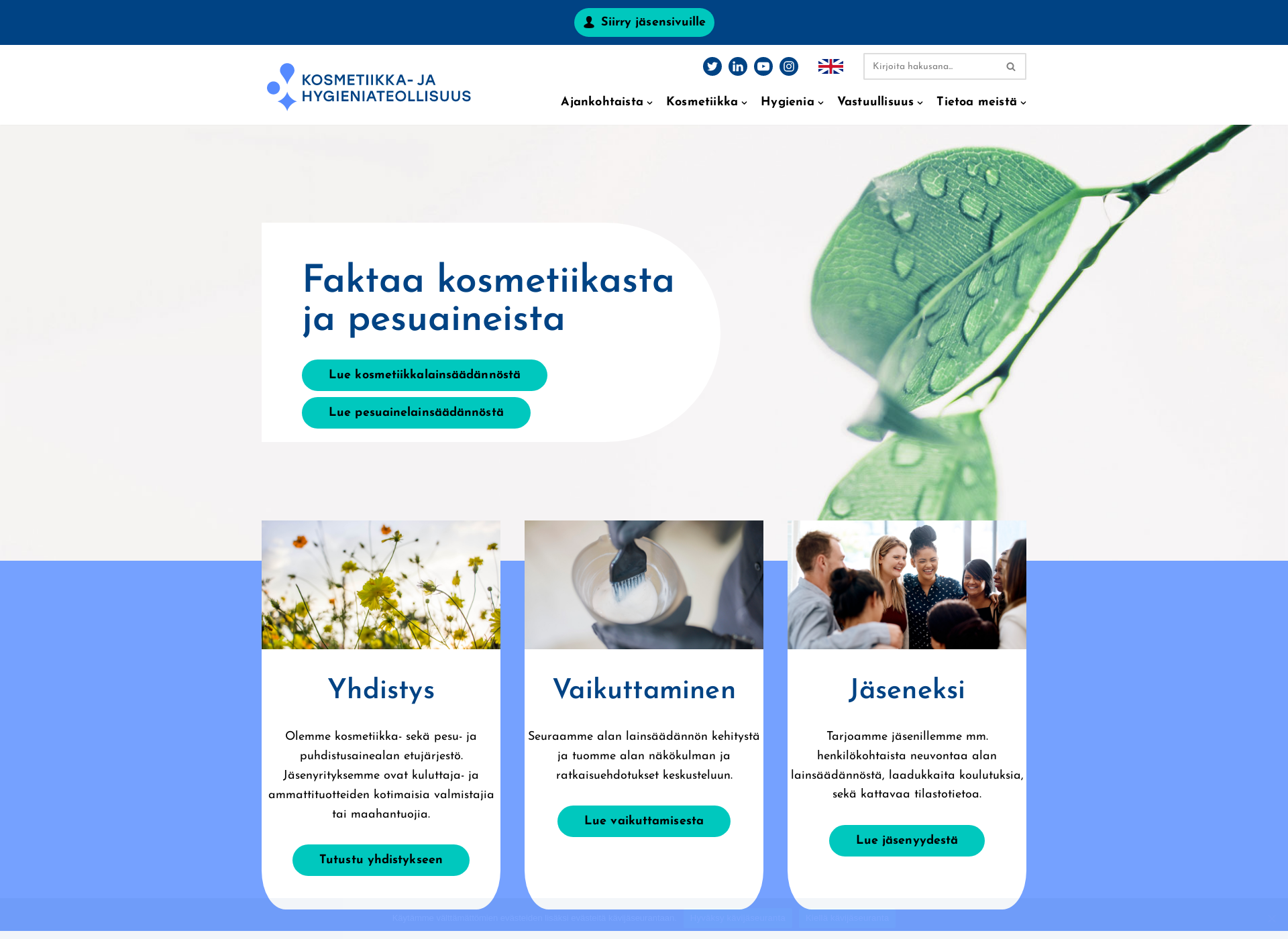 Screenshot for tietoakosmetiikasta.fi
