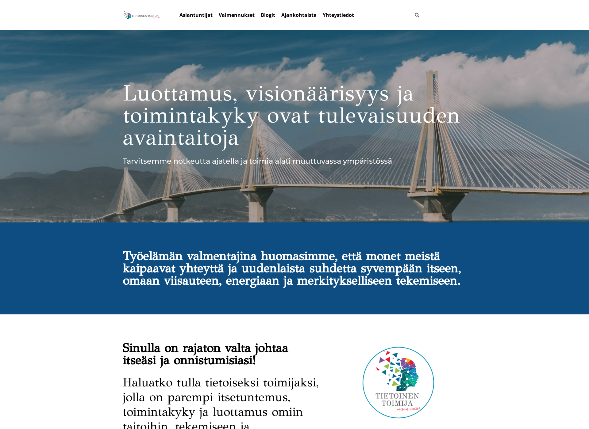 Skärmdump för tietoinentoimija.fi