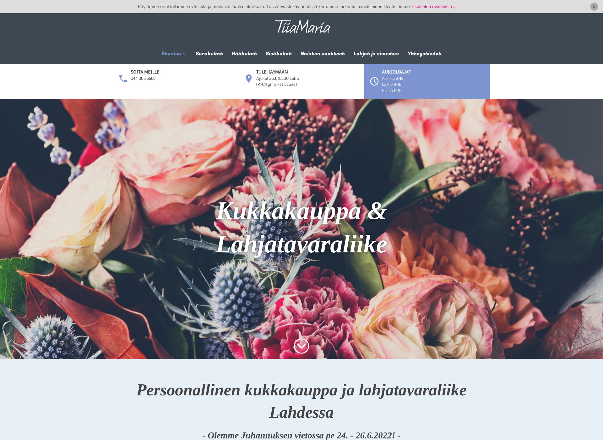 Skärmdump för tiiamaria.fi
