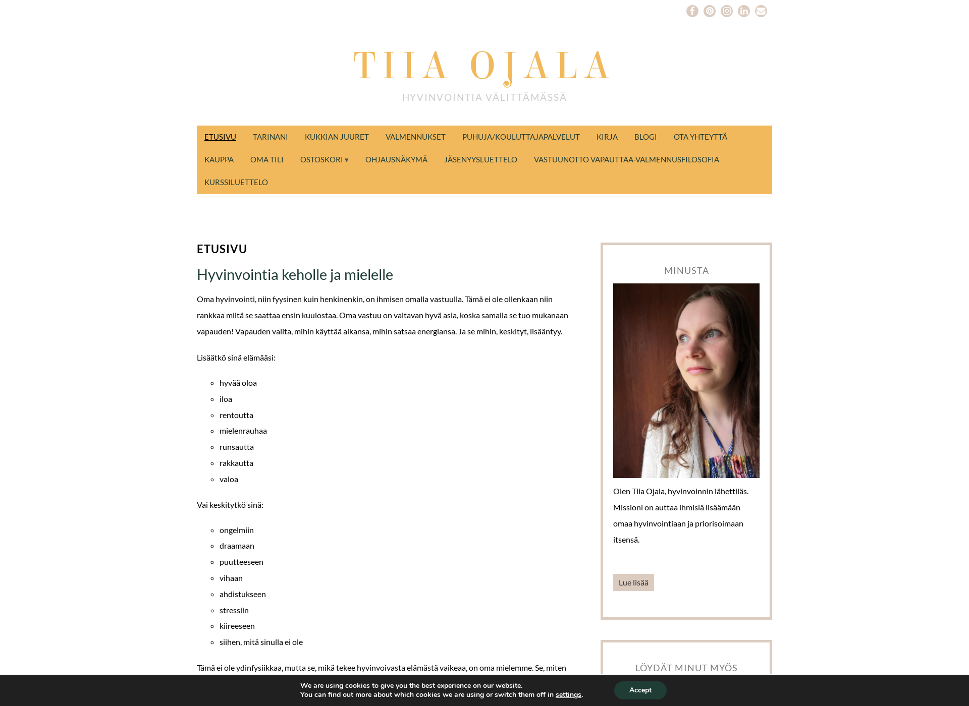 Screenshot for tiiaojala.fi