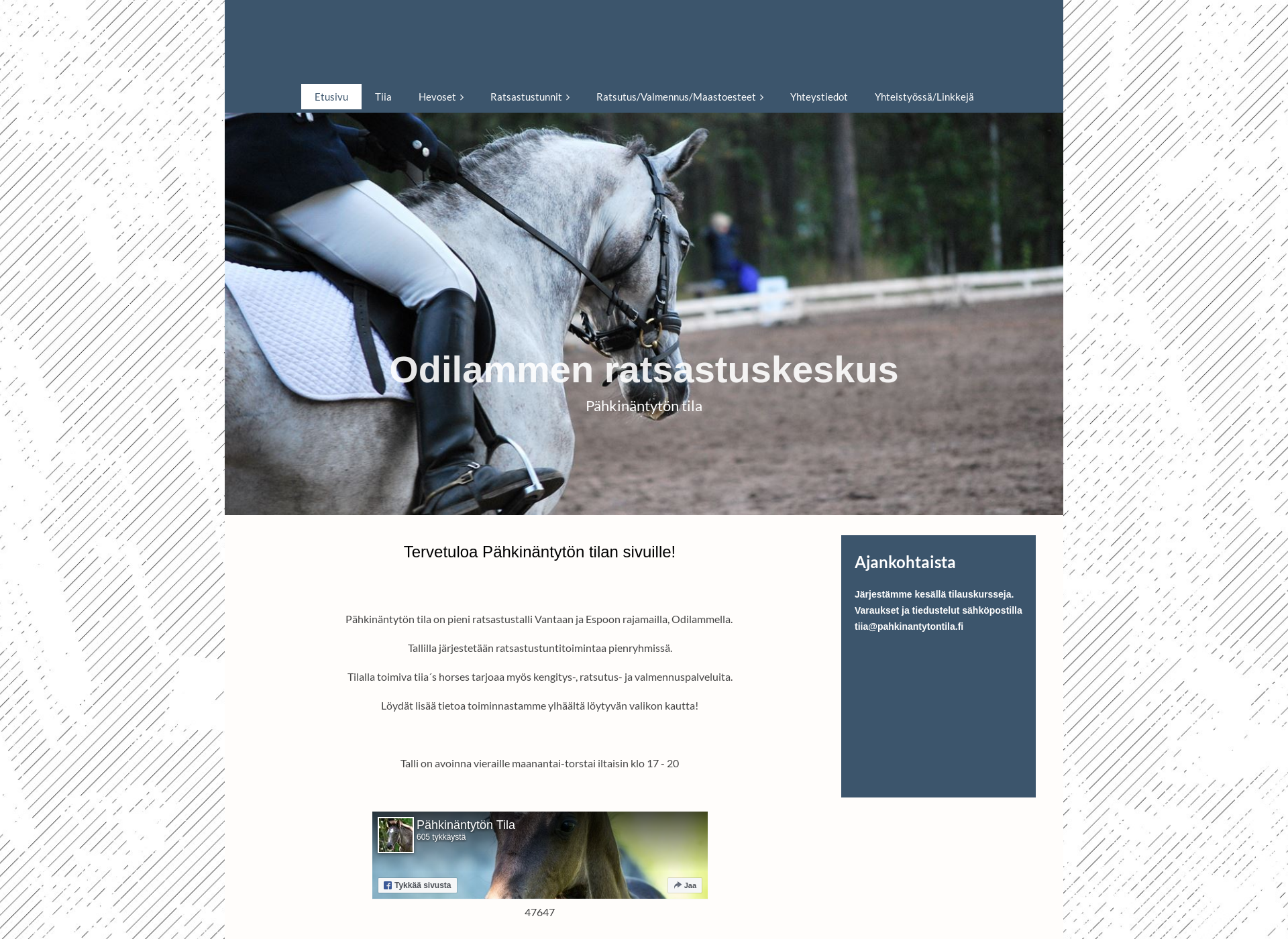 Skärmdump för tiiashorses.fi