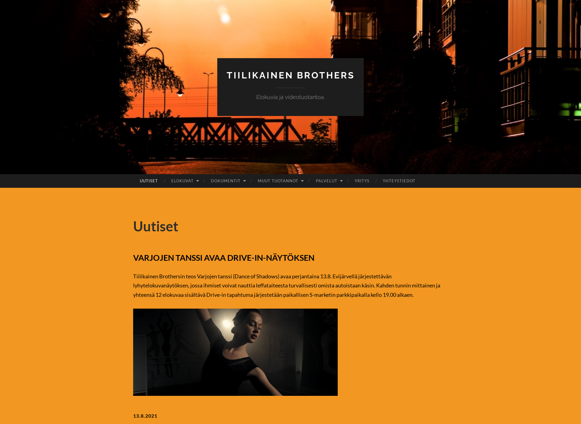 Screenshot for tiilikainenbrothers.fi