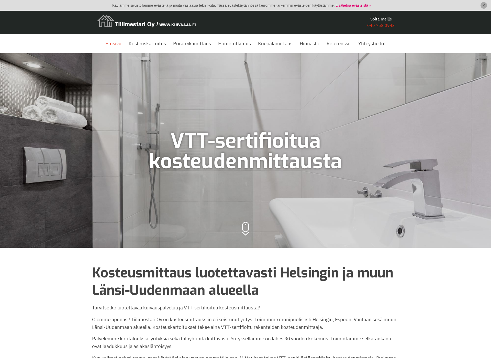 Skärmdump för tiilimestari.fi