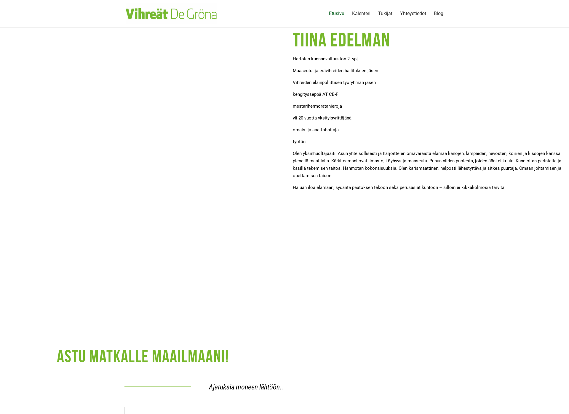 Screenshot for tiinaedelman.fi