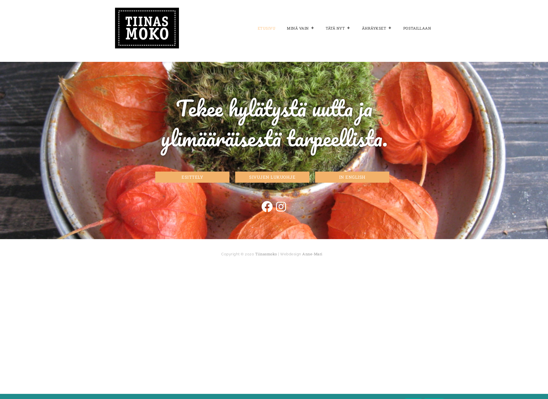 Screenshot for tiinasmoko.fi