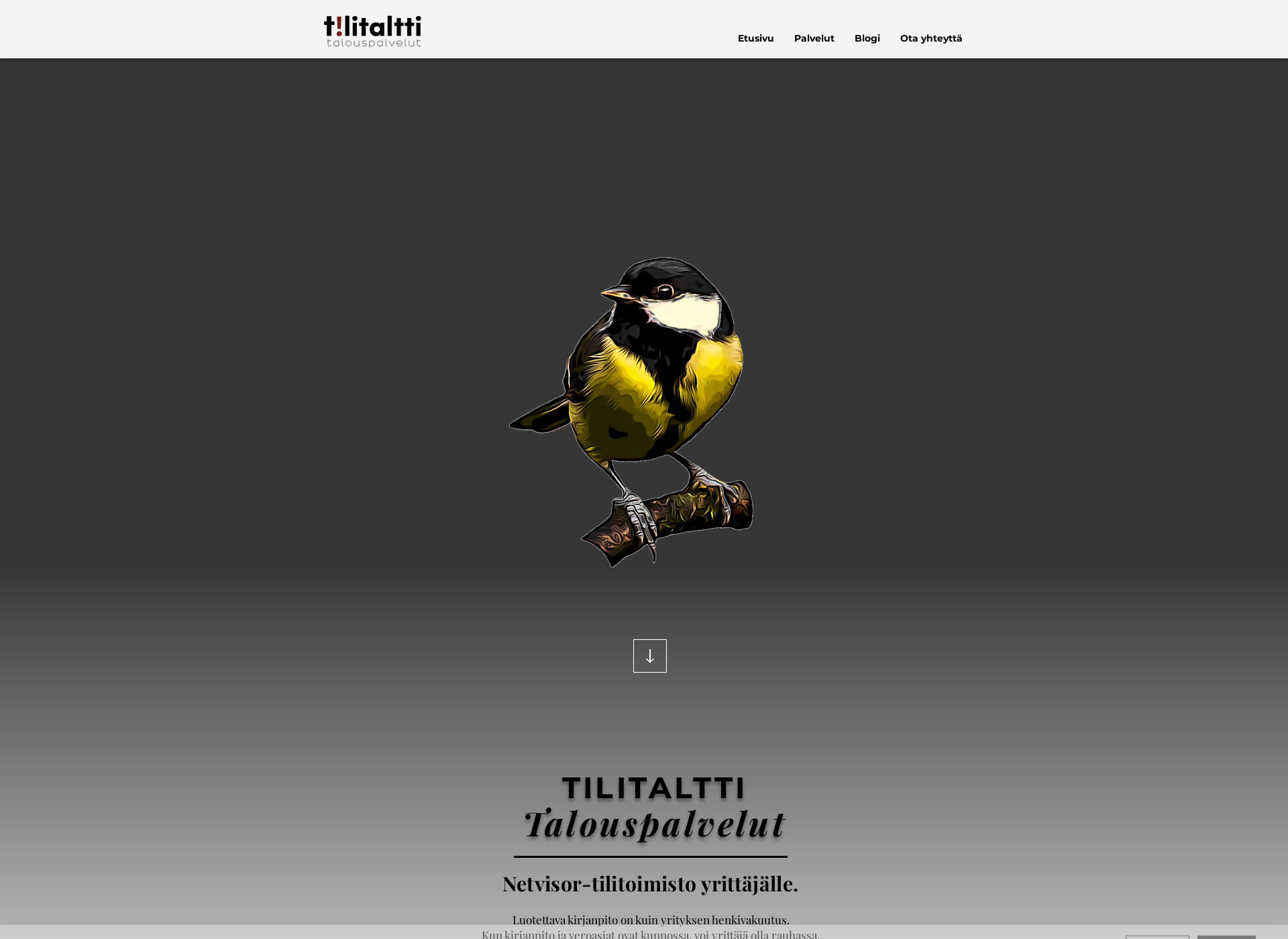 Skärmdump för tilitaltti.fi