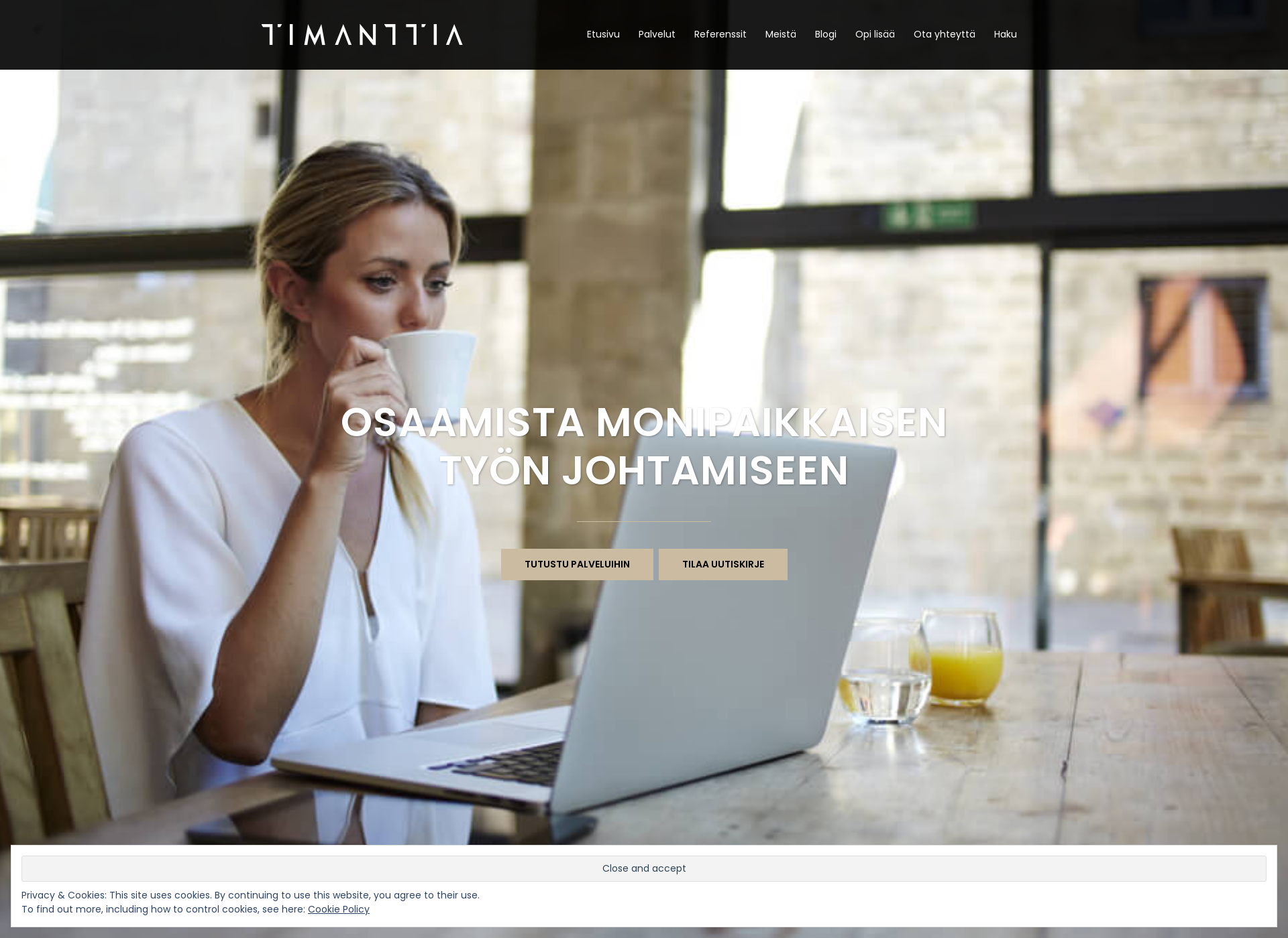 Screenshot for timanttia.fi