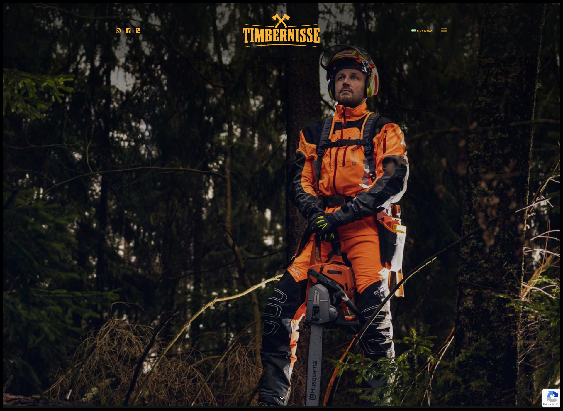 Screenshot for timbernisse.fi