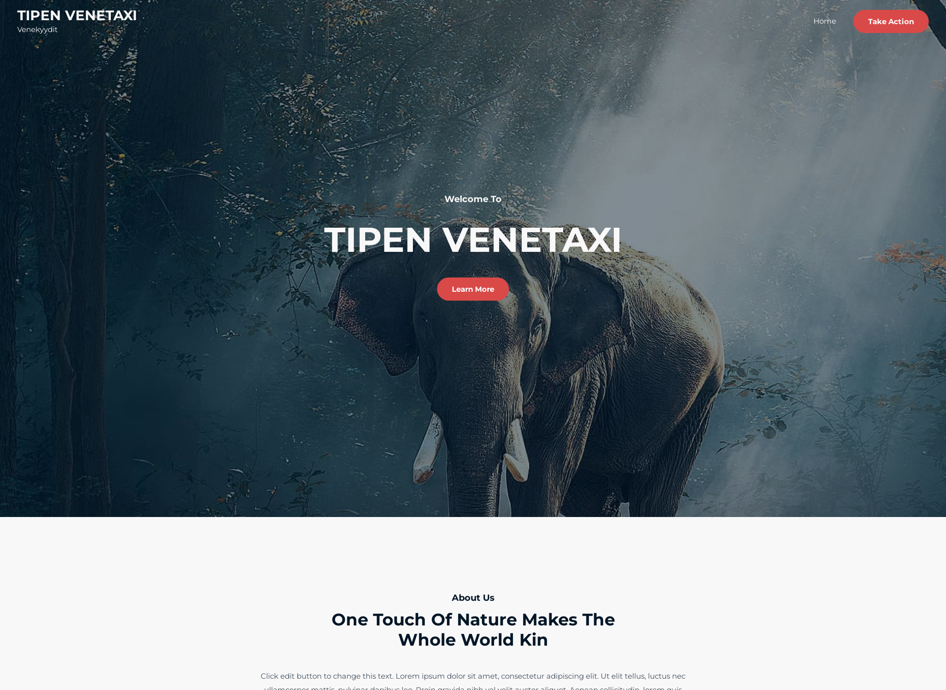 Screenshot for tipenvenetaxi.fi