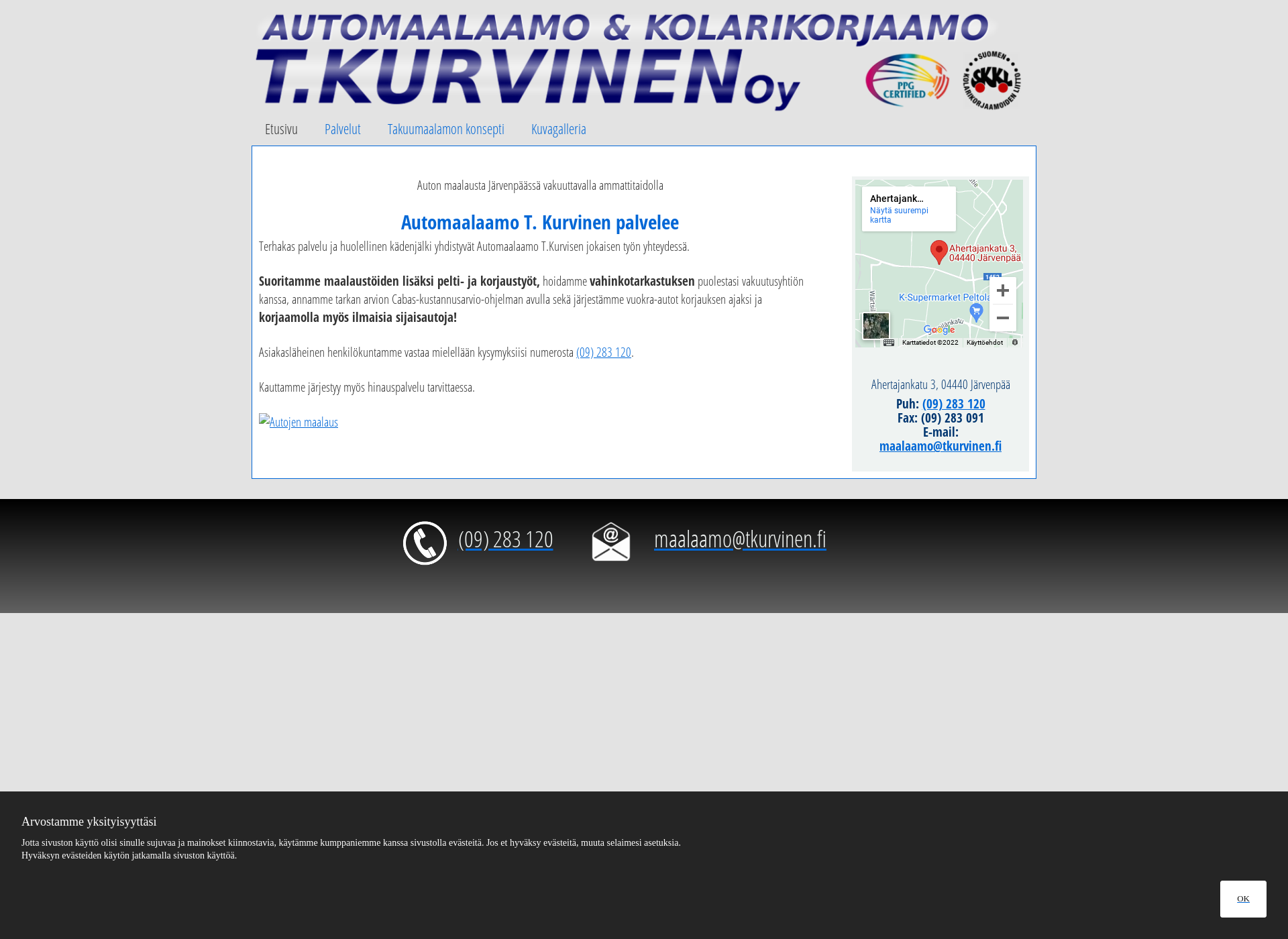 Screenshot for tkurvinen.fi