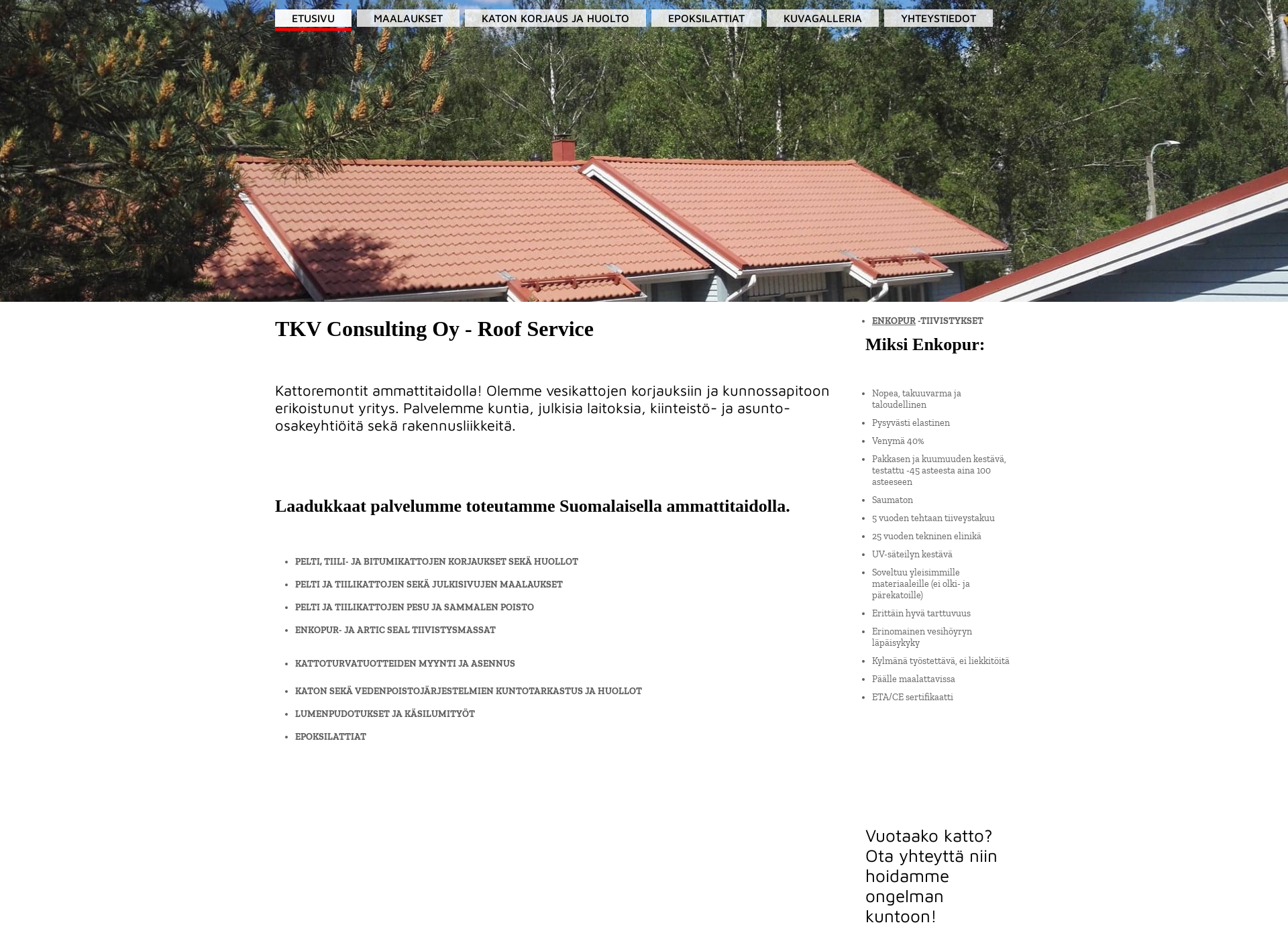 Skärmdump för tkv-consulting.fi