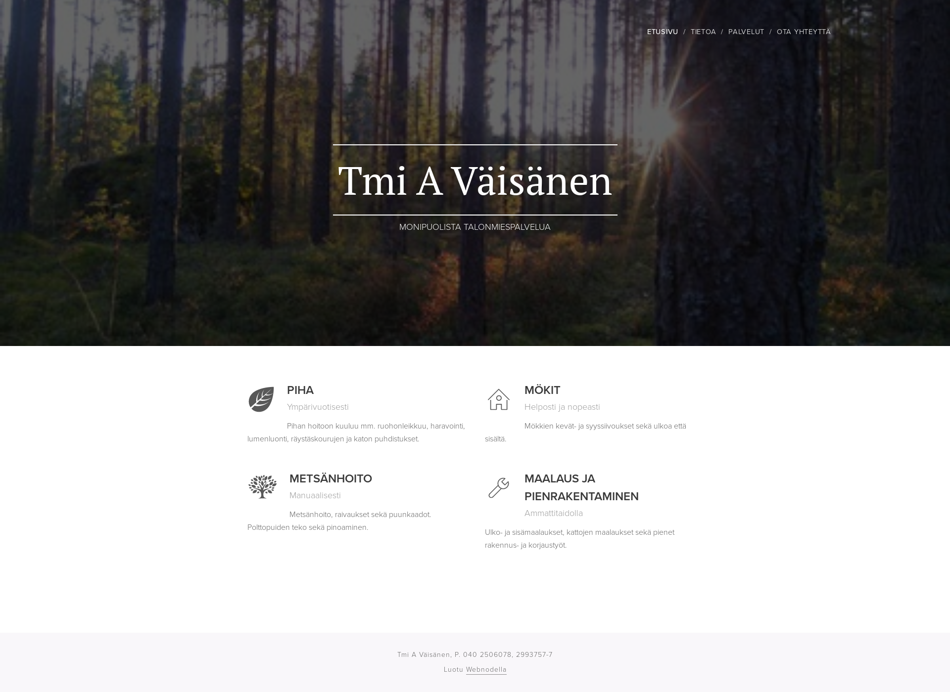 Skärmdump för tmiavaisanen.fi