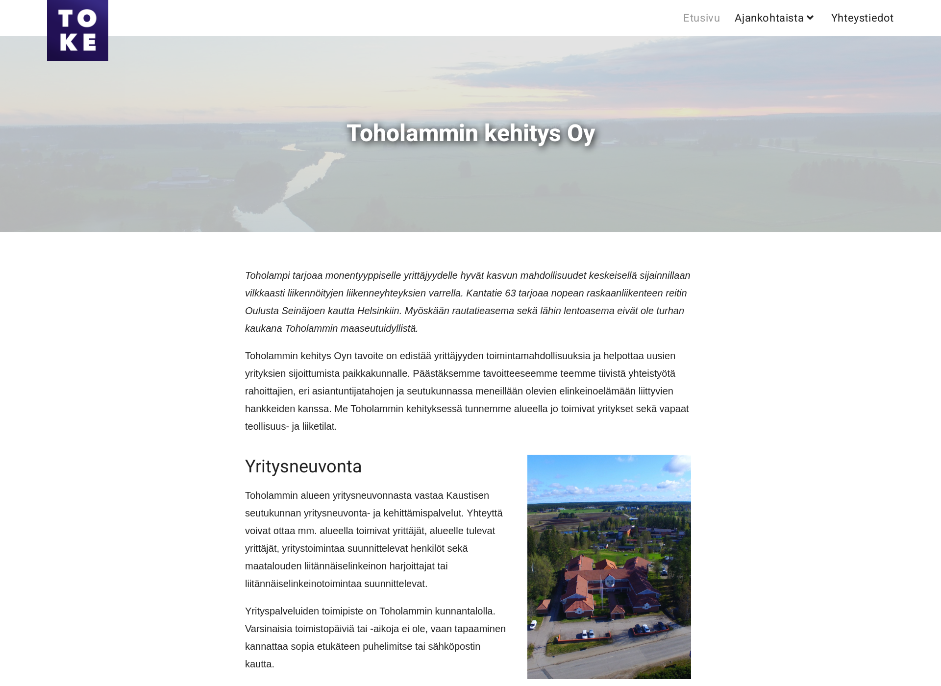 Screenshot for toholamminkehitys.fi