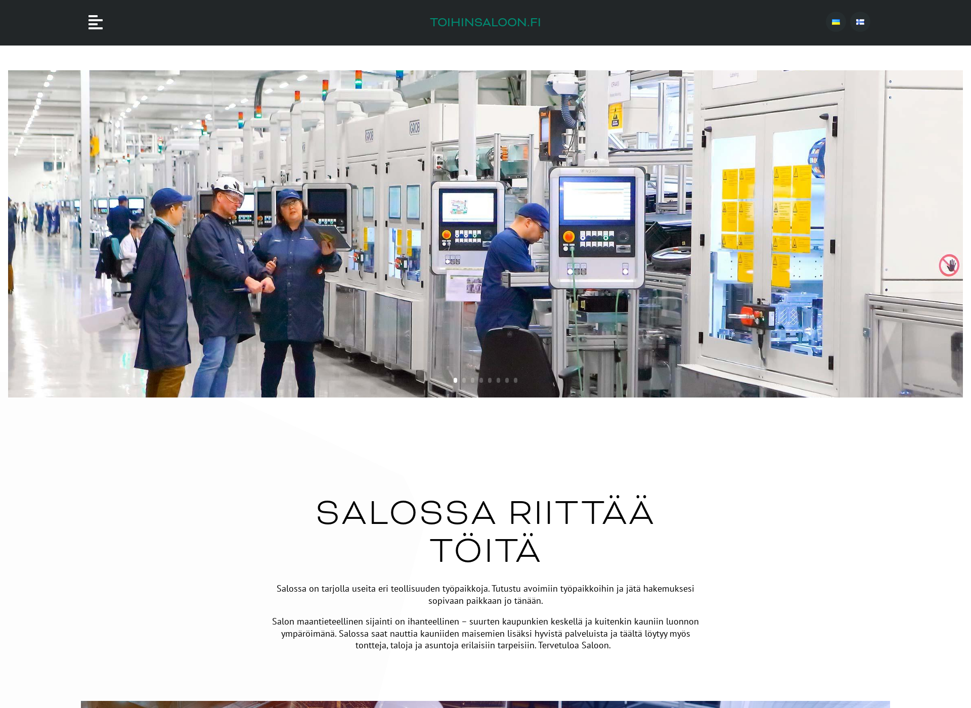 Skärmdump för toihinsaloon.fi
