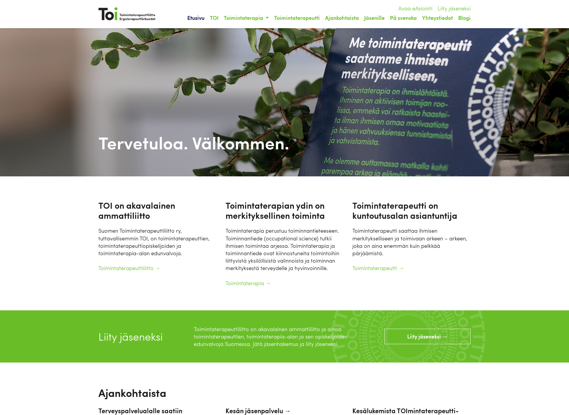 Screenshot for toimintaterapeuttiliitto.fi
