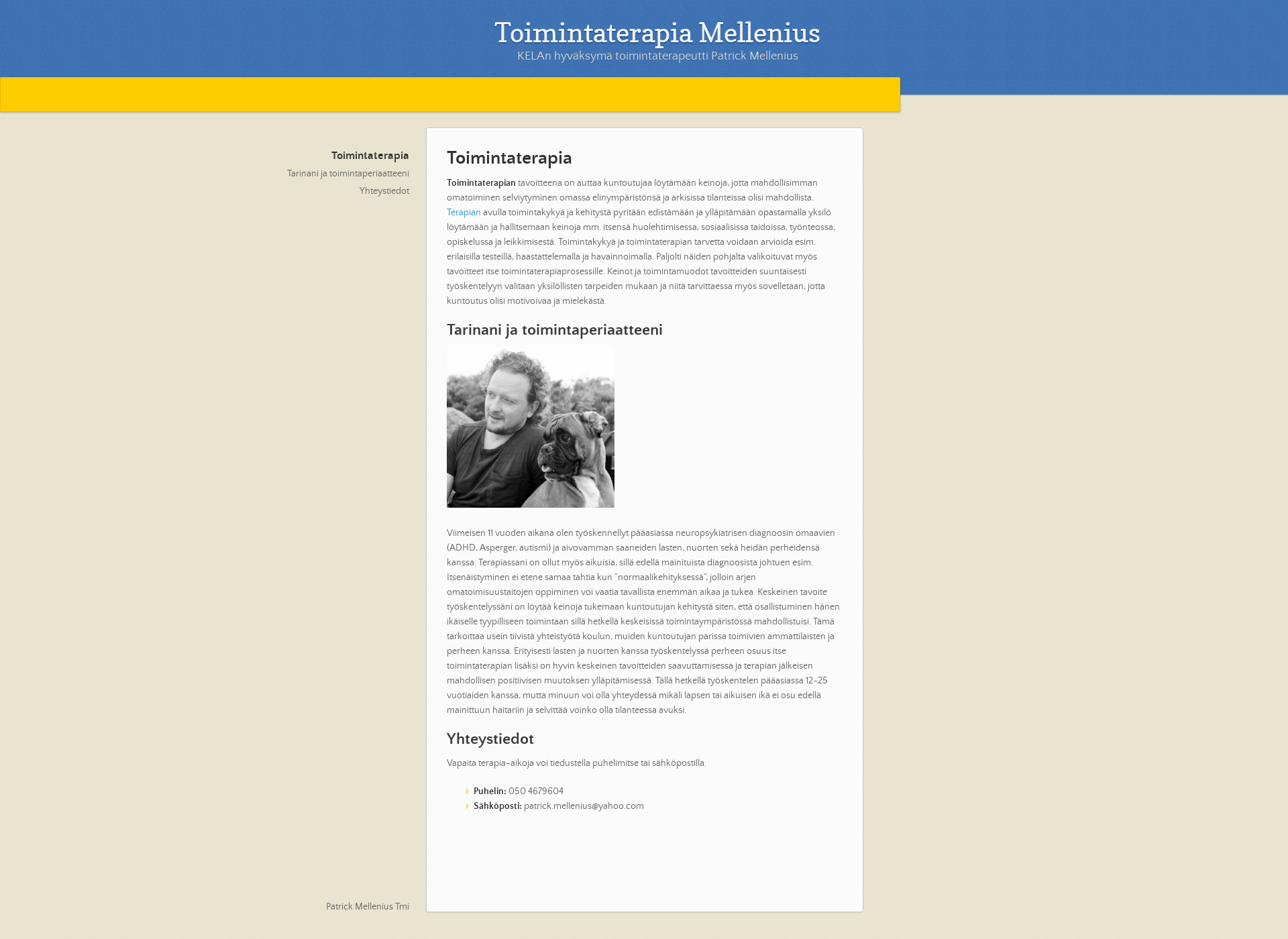 Skärmdump för toimintaterapiamellenius.fi