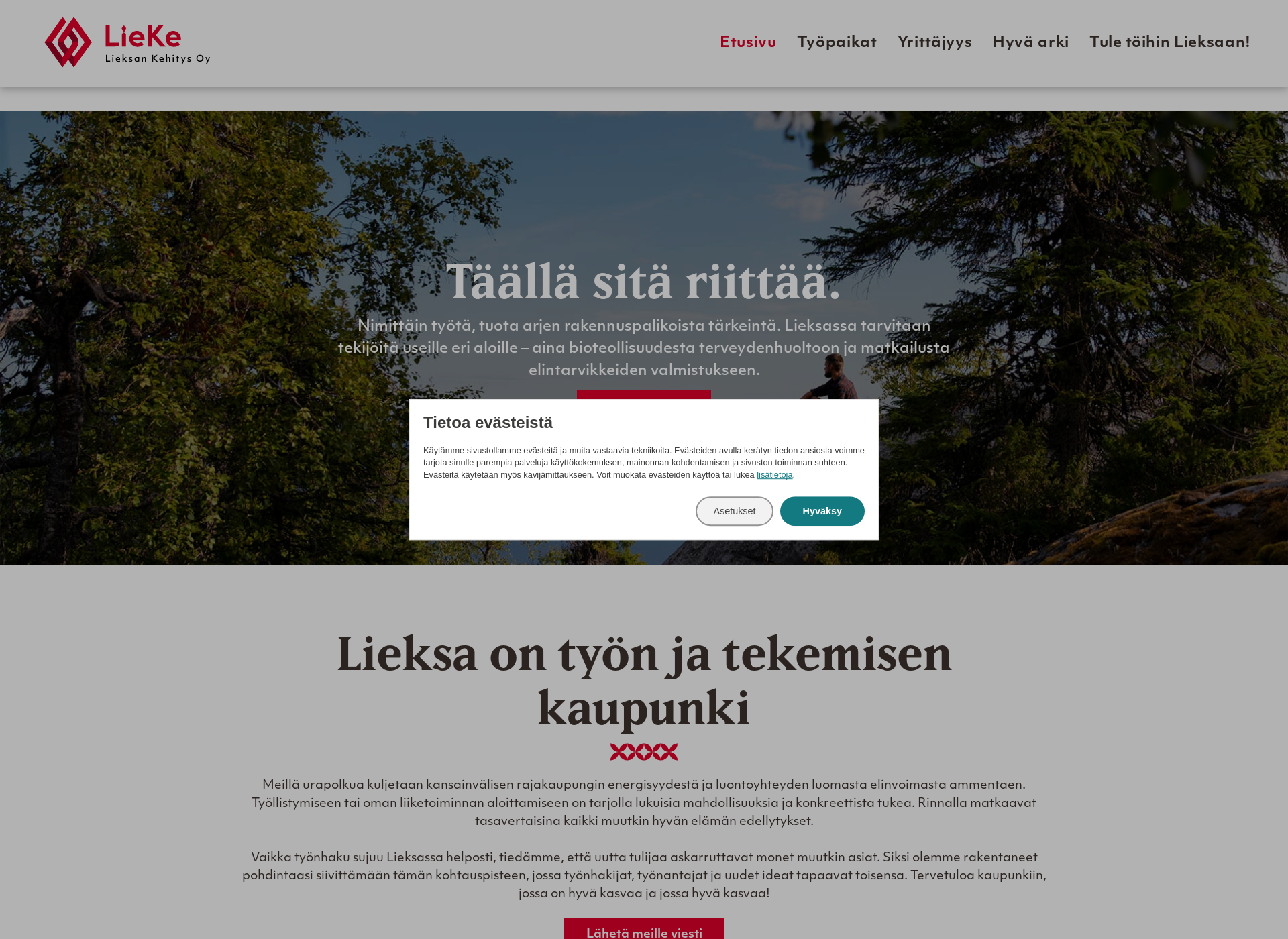 Screenshot for toitalieksassa.fi