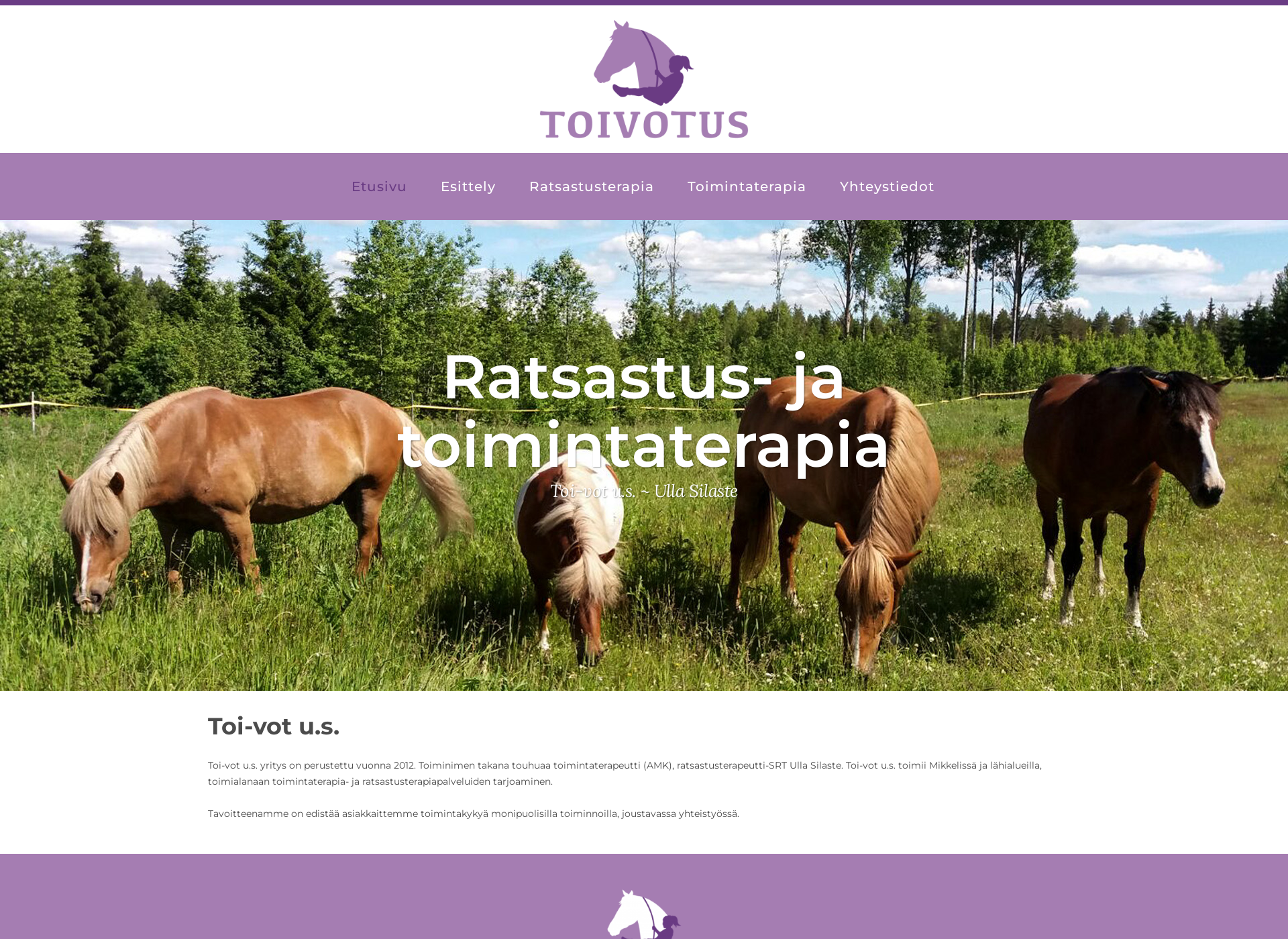 Screenshot for toivotus.fi