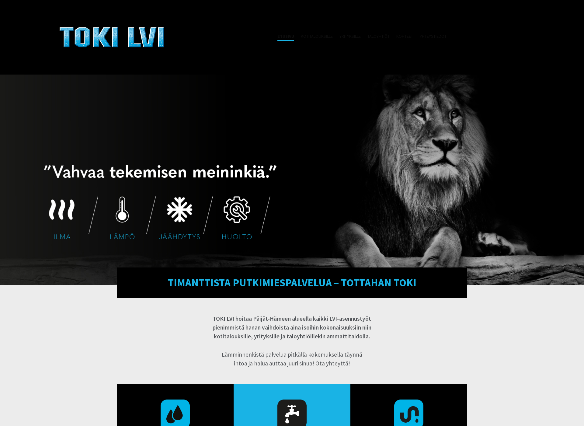 Screenshot for toki-lvi.fi
