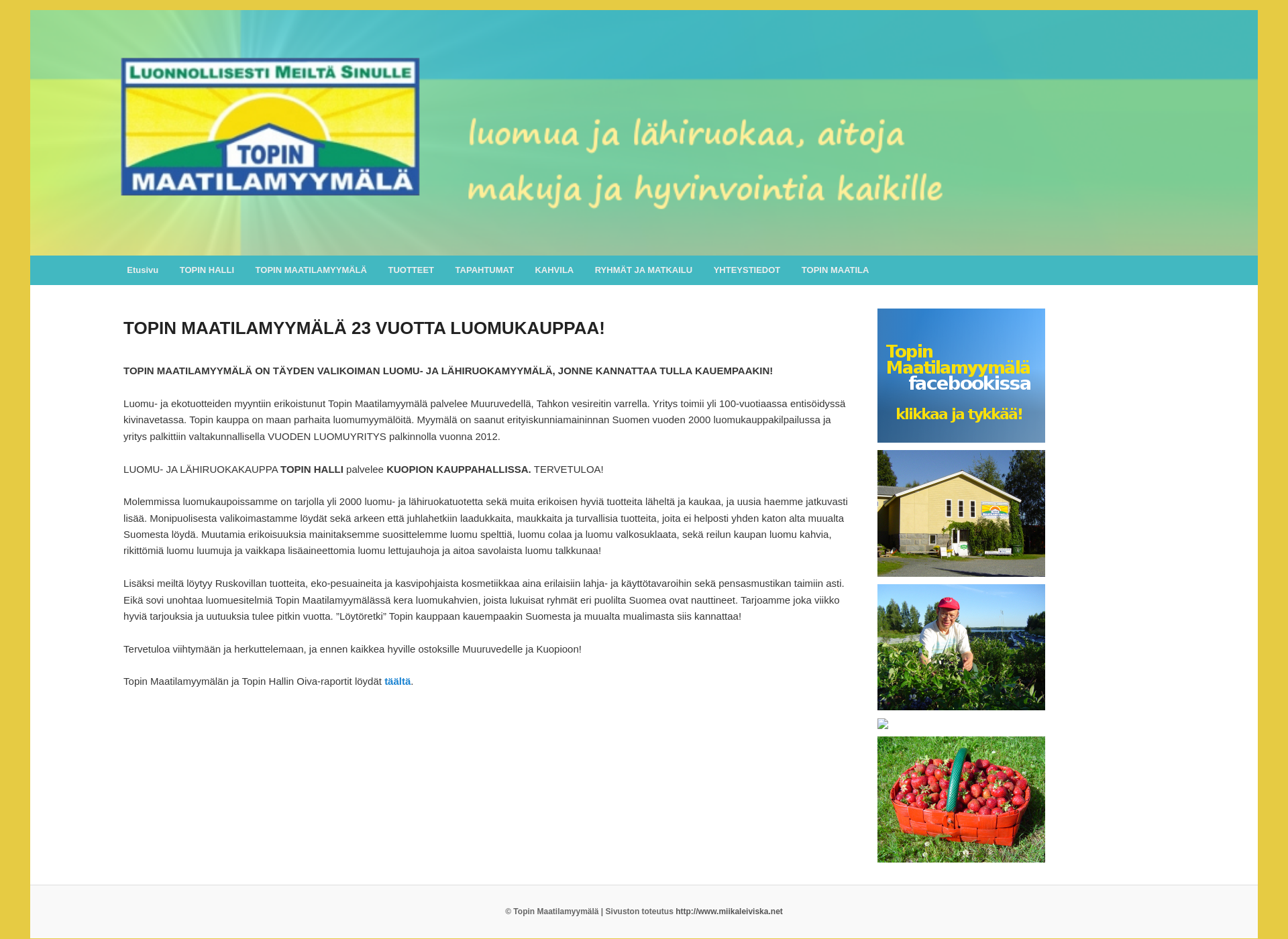 Screenshot for topinmaatilamyymala.fi