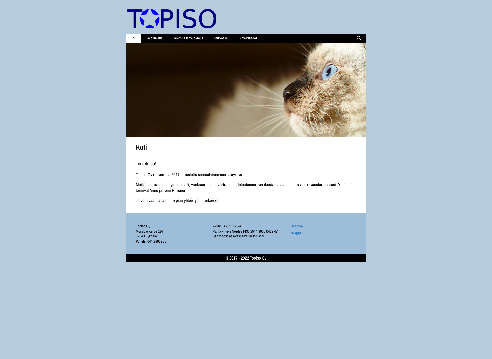 Screenshot for topiso.fi