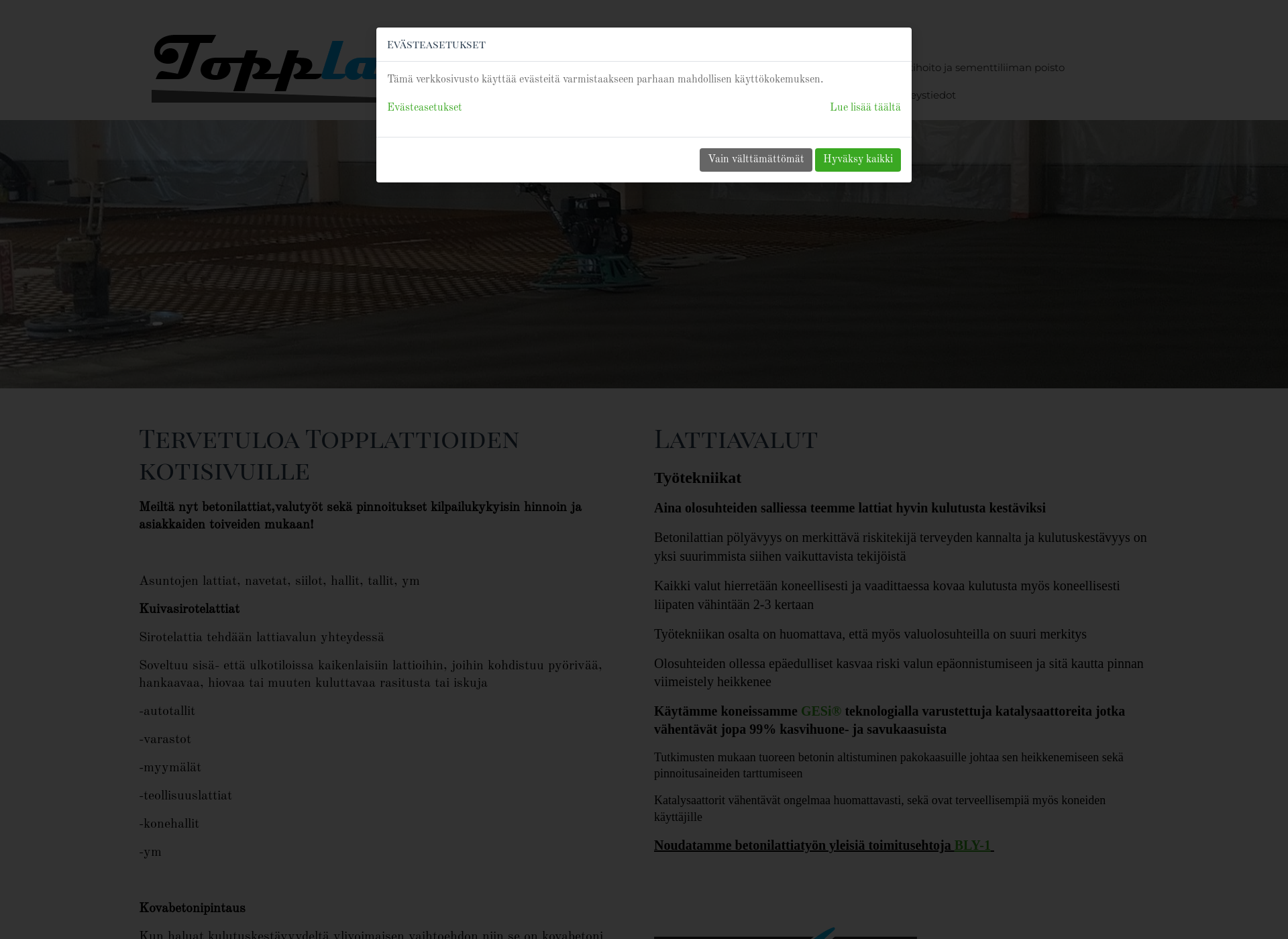 Screenshot for topplattiat.fi