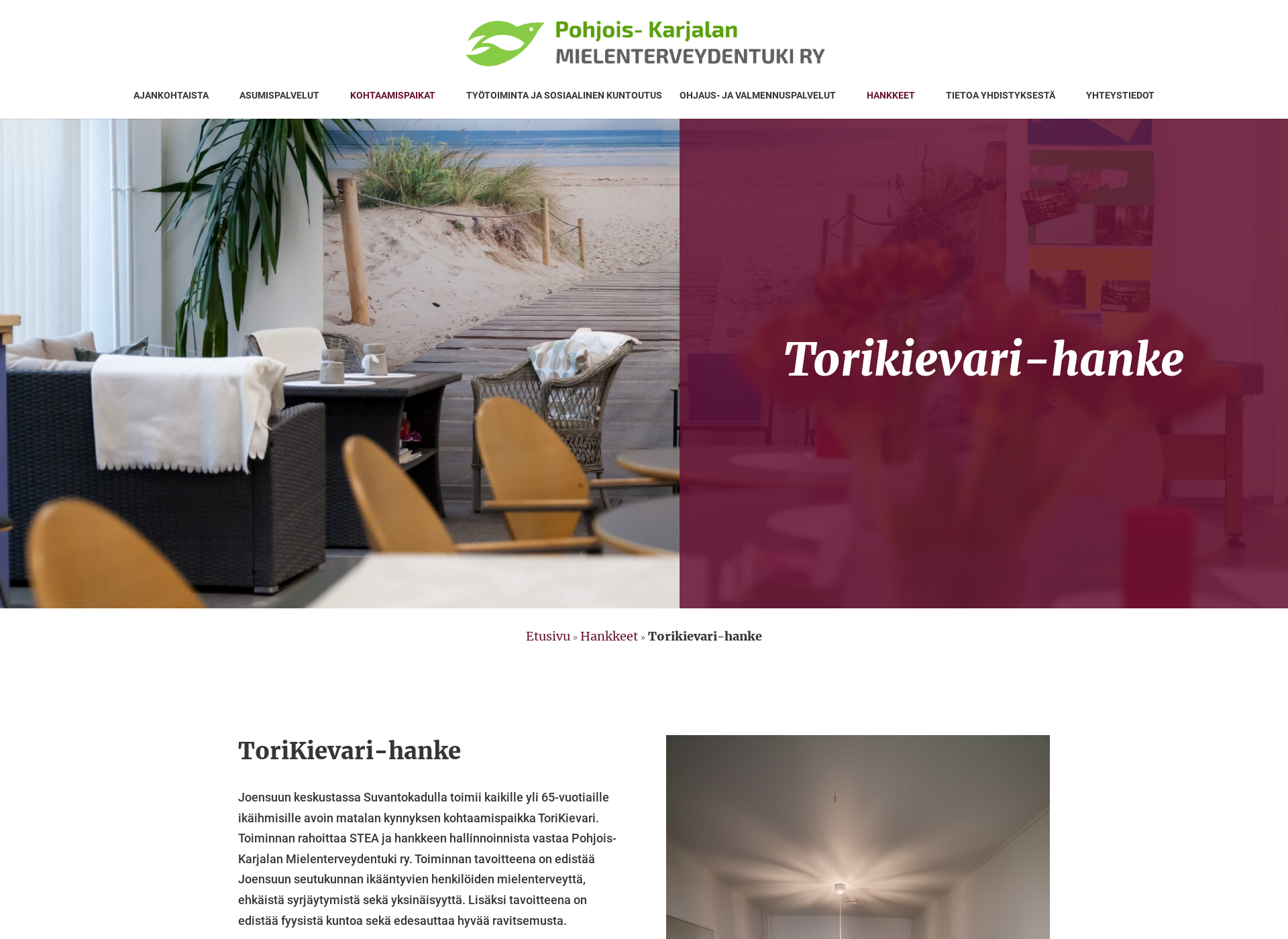 Screenshot for torikievari.fi