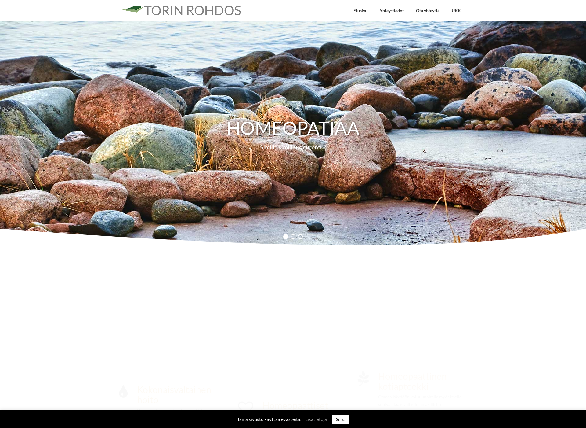 Screenshot for torinrohdos.fi