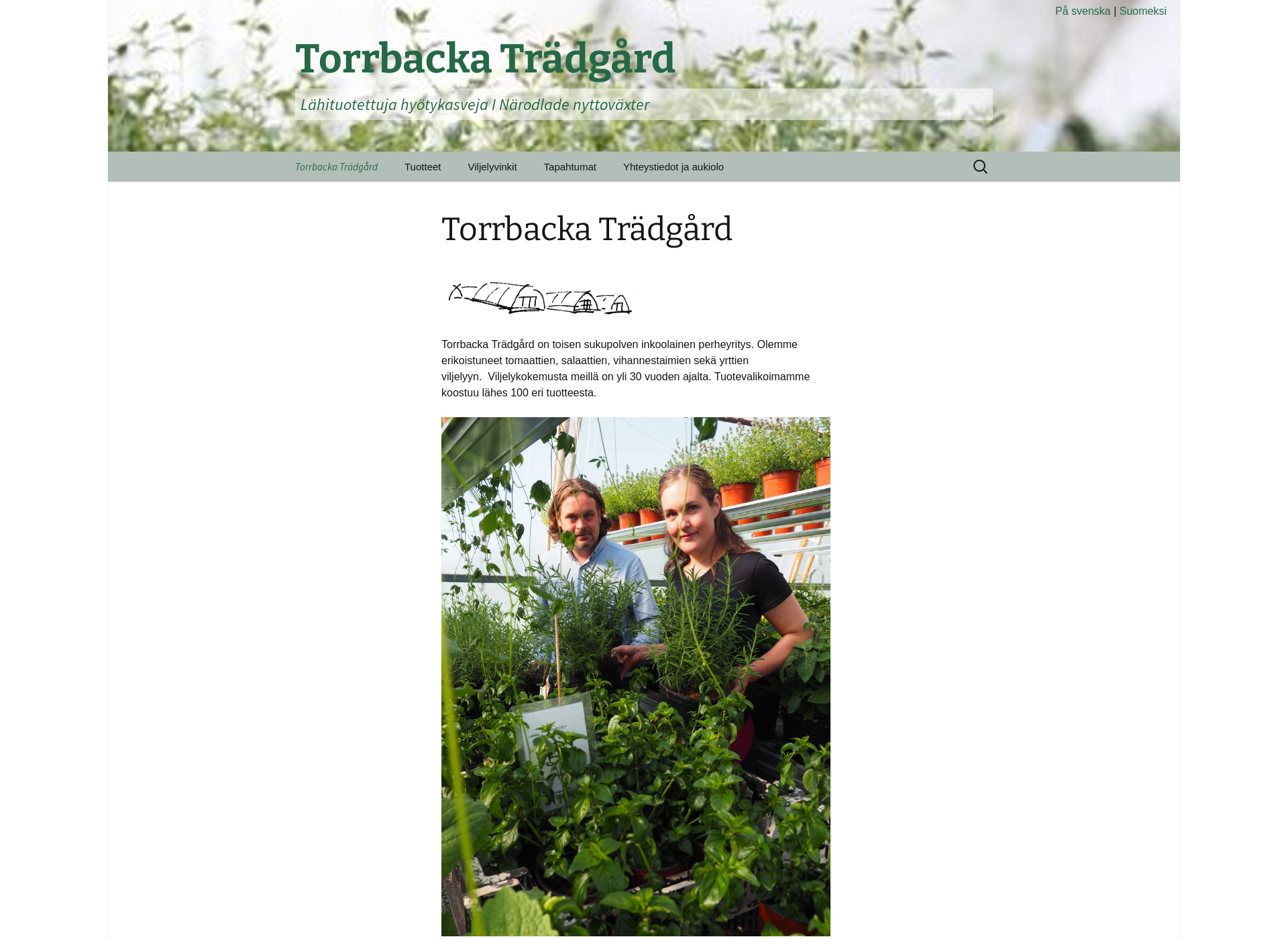 Näyttökuva torrbacka.fi