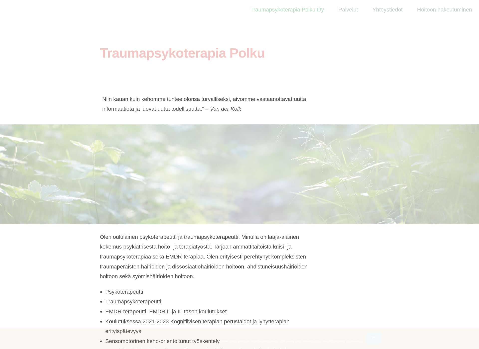 Skärmdump för traumapsykoterapiapolku.fi