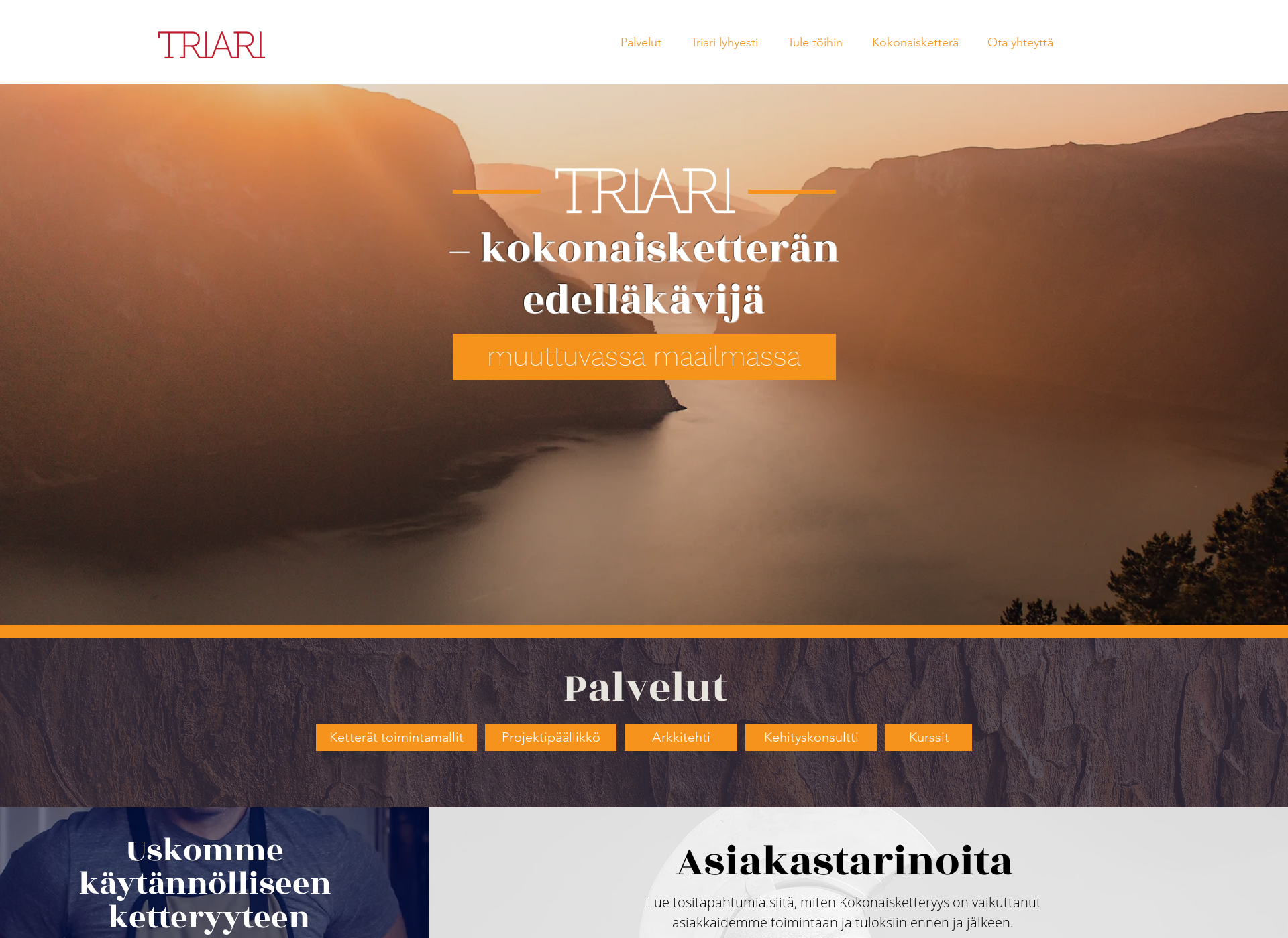Screenshot for triari.fi