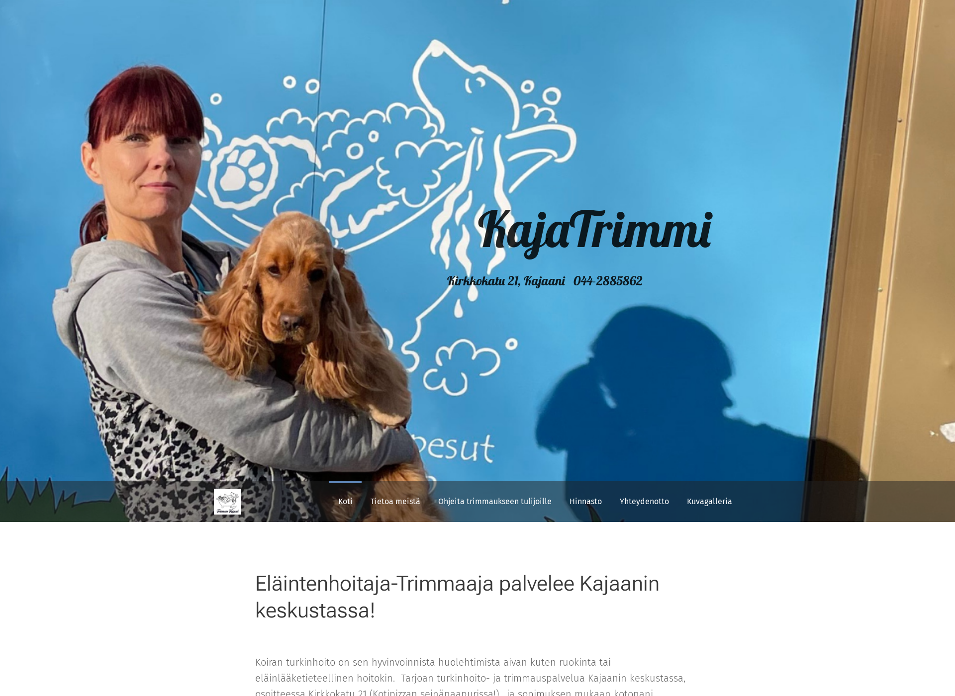 Skärmdump för trimmauskajaani.fi