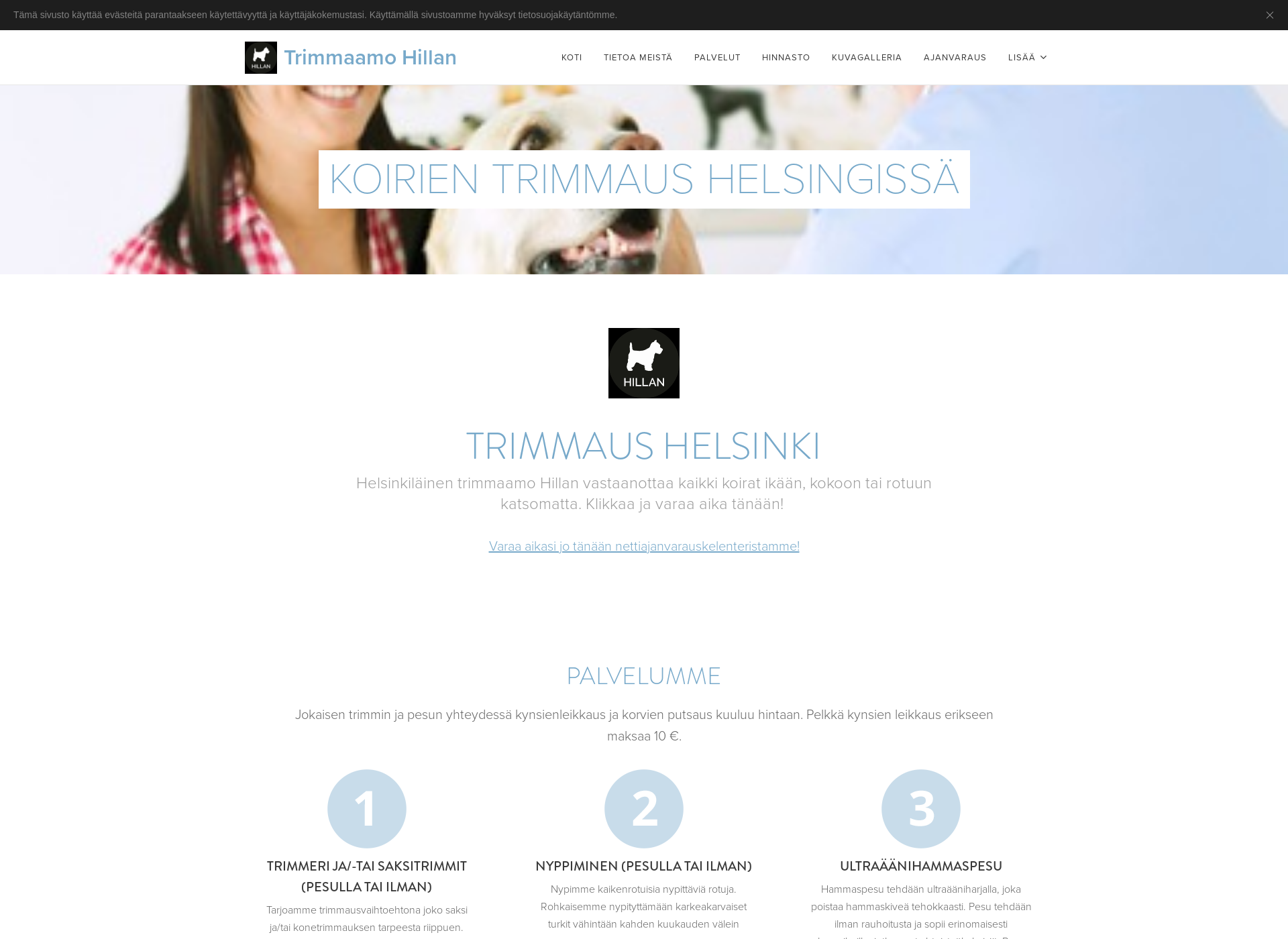Screenshot for trimmausvantaa.fi