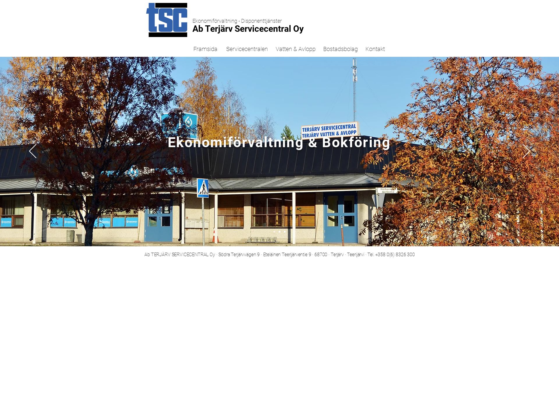 Screenshot for tsc.fi