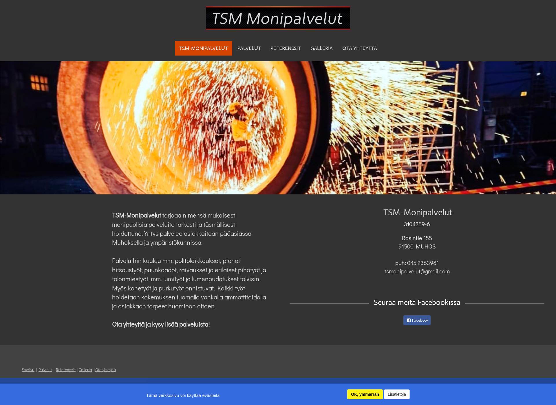 Skärmdump för tsm-monipalvelut.fi
