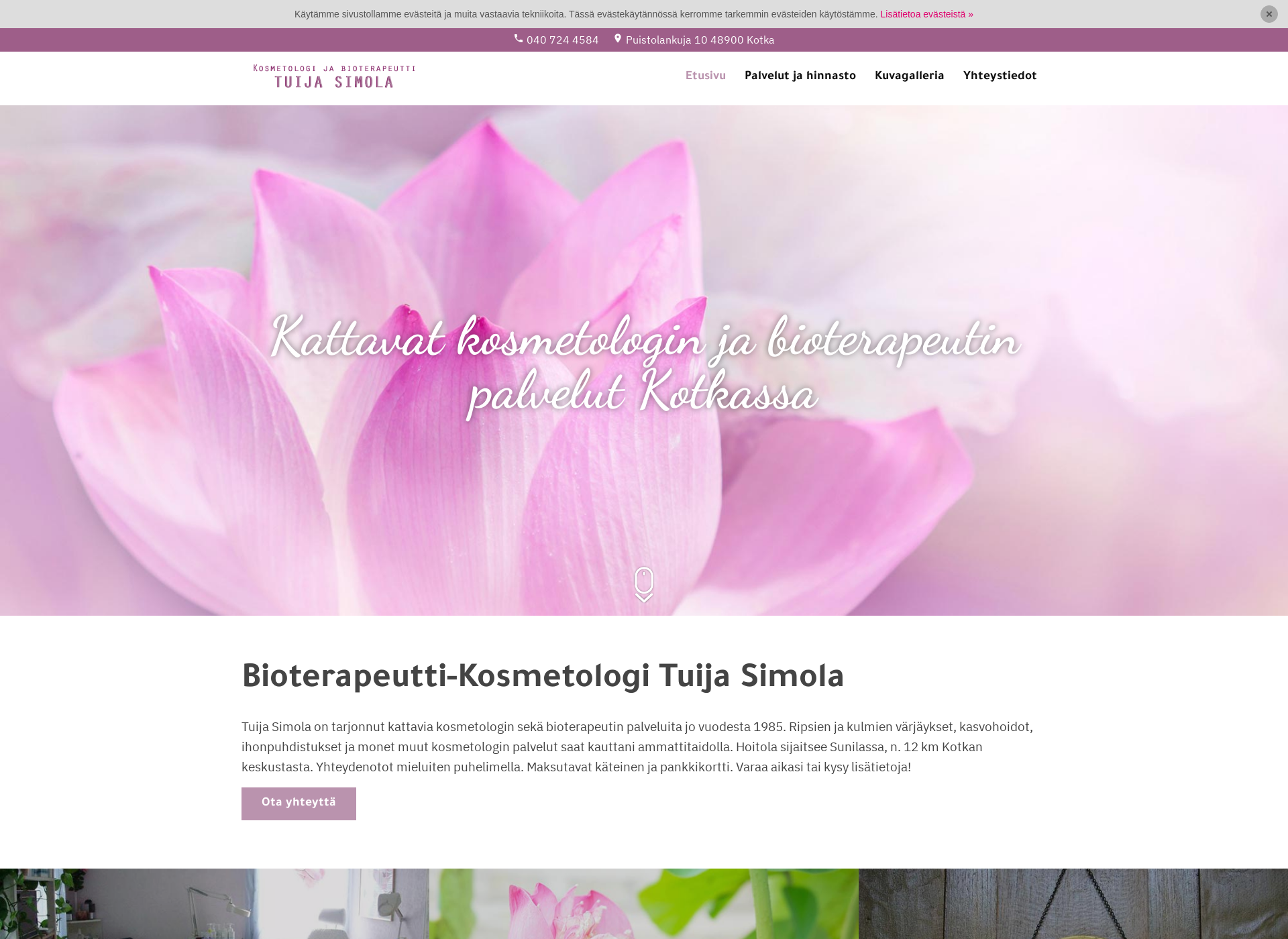 Screenshot for tuijanhoitola.fi
