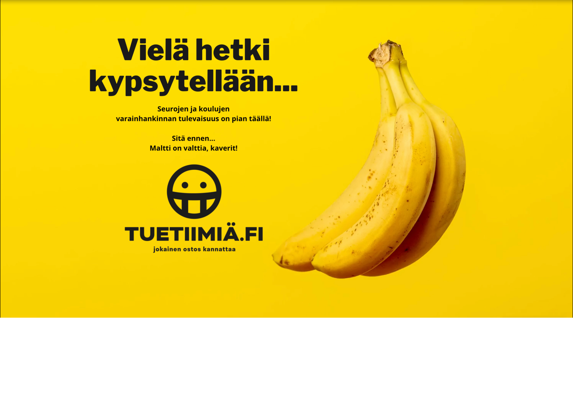 Screenshot for tukeatiimille.fi