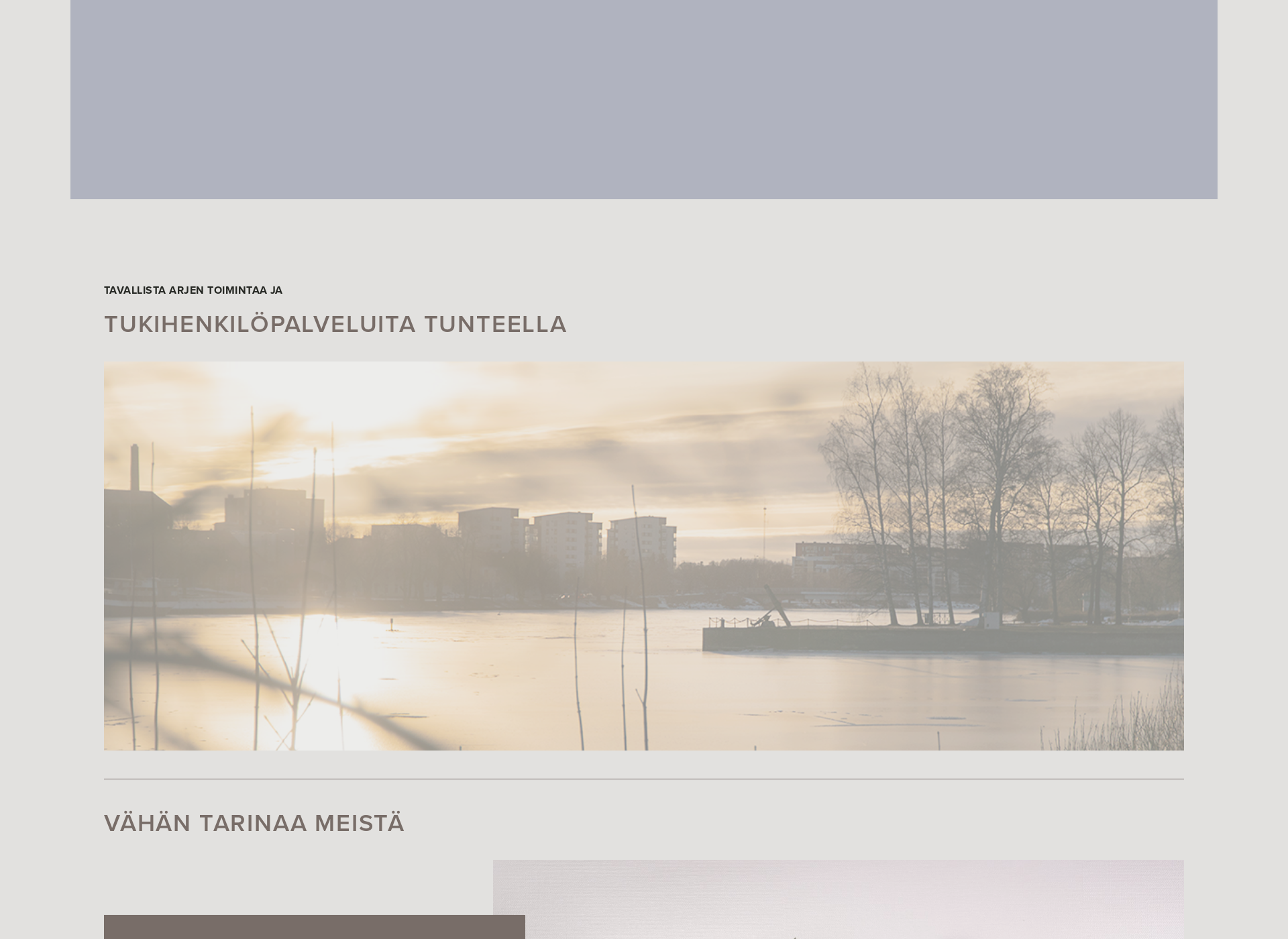 Skärmdump för tukihenkilopalvelut.fi
