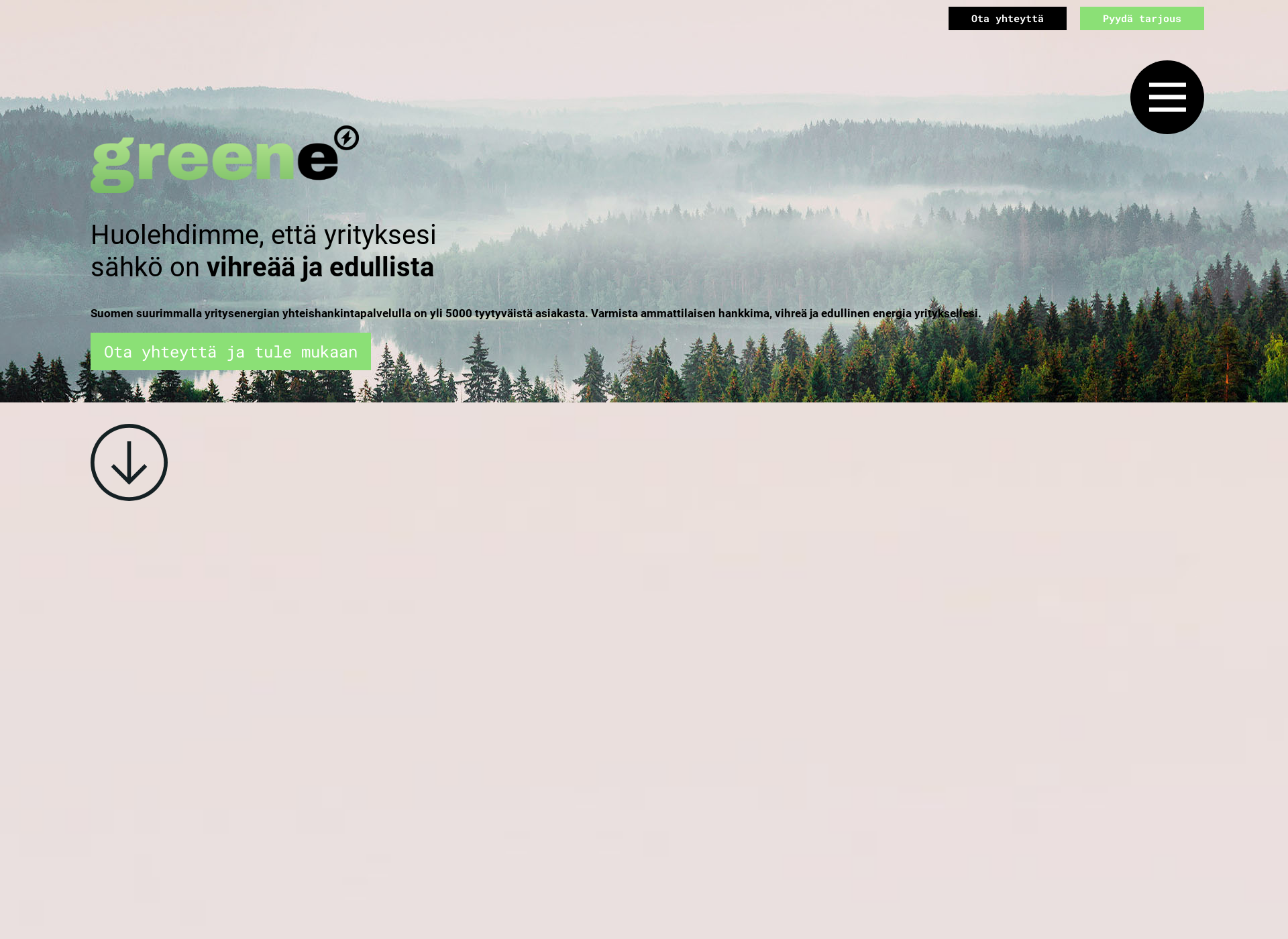 Screenshot for tukkusahko.fi