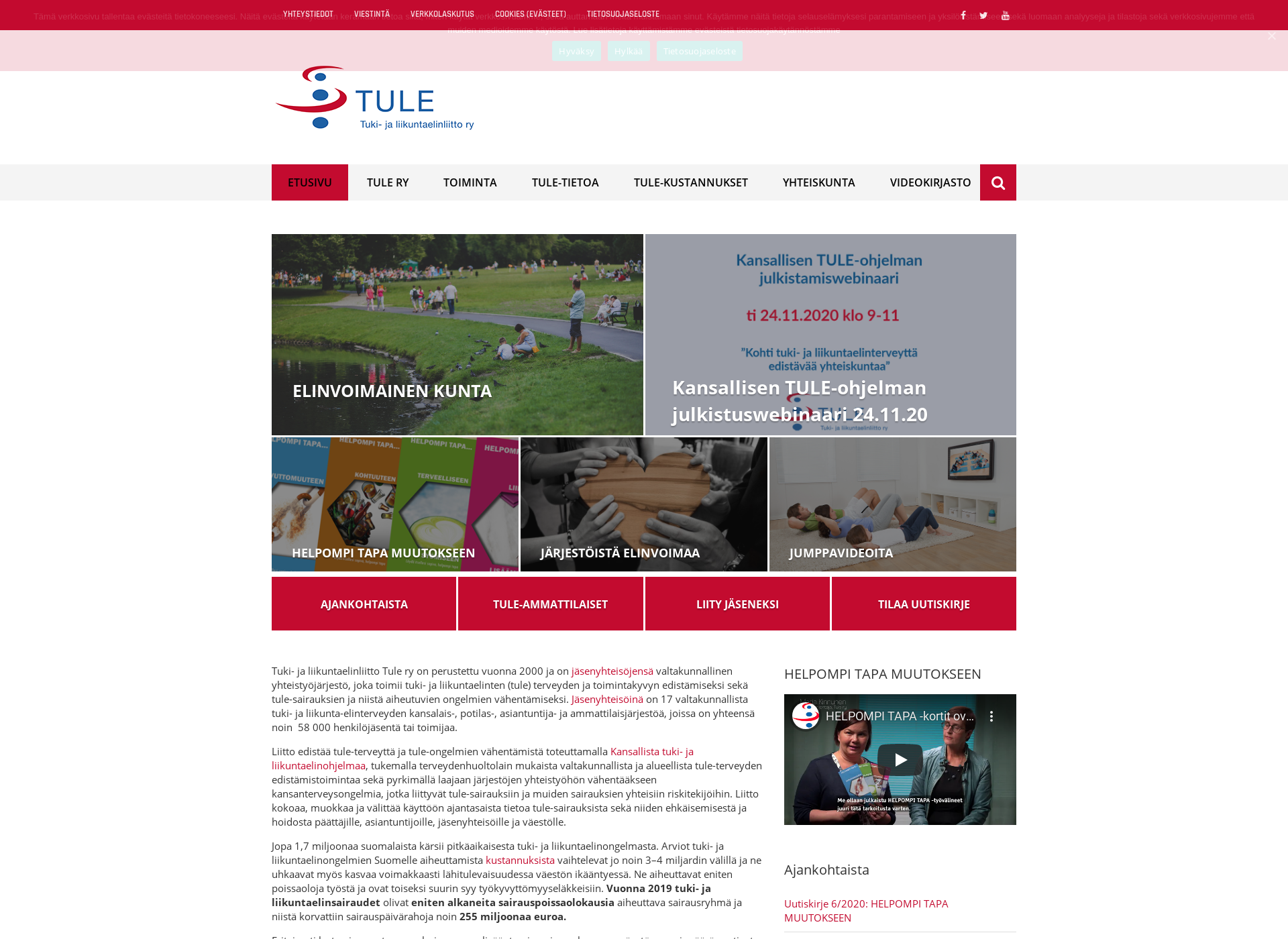 Screenshot for tule-liitto.fi