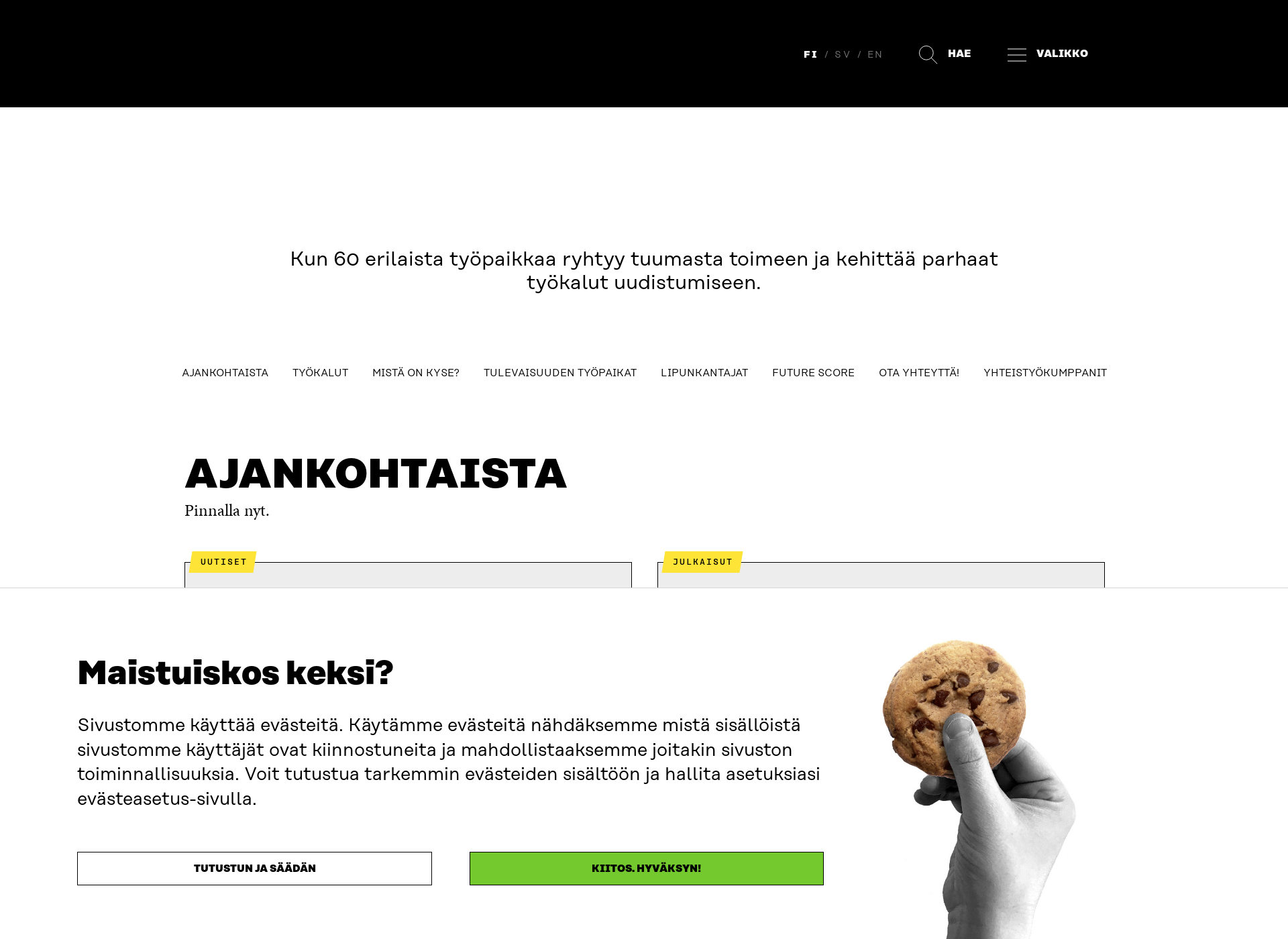 Skärmdump för tulevaisuudentyopaikka.fi