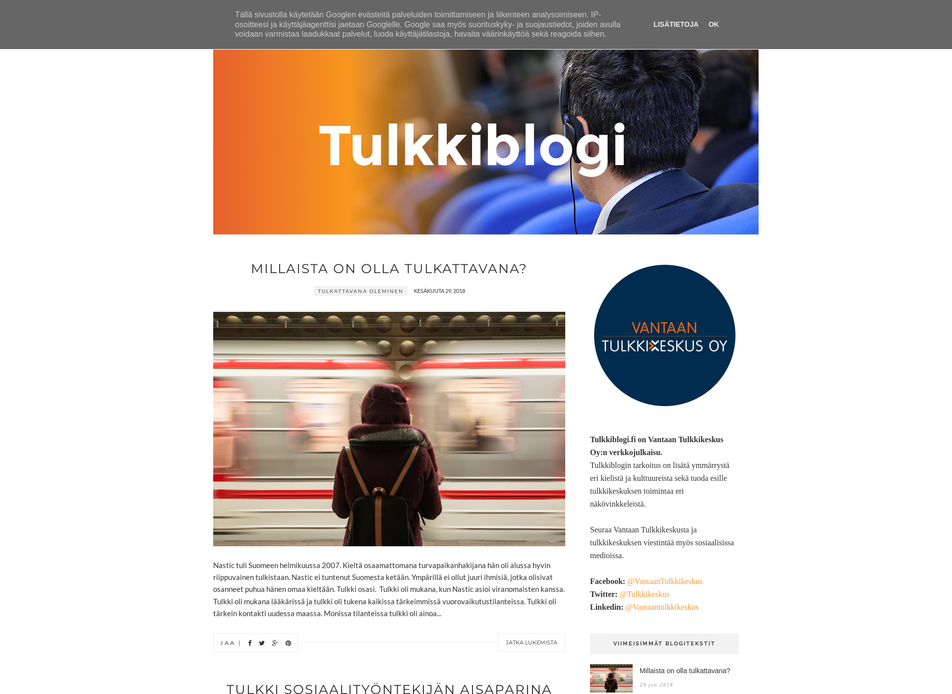 Screenshot for tulkkiblogi.fi