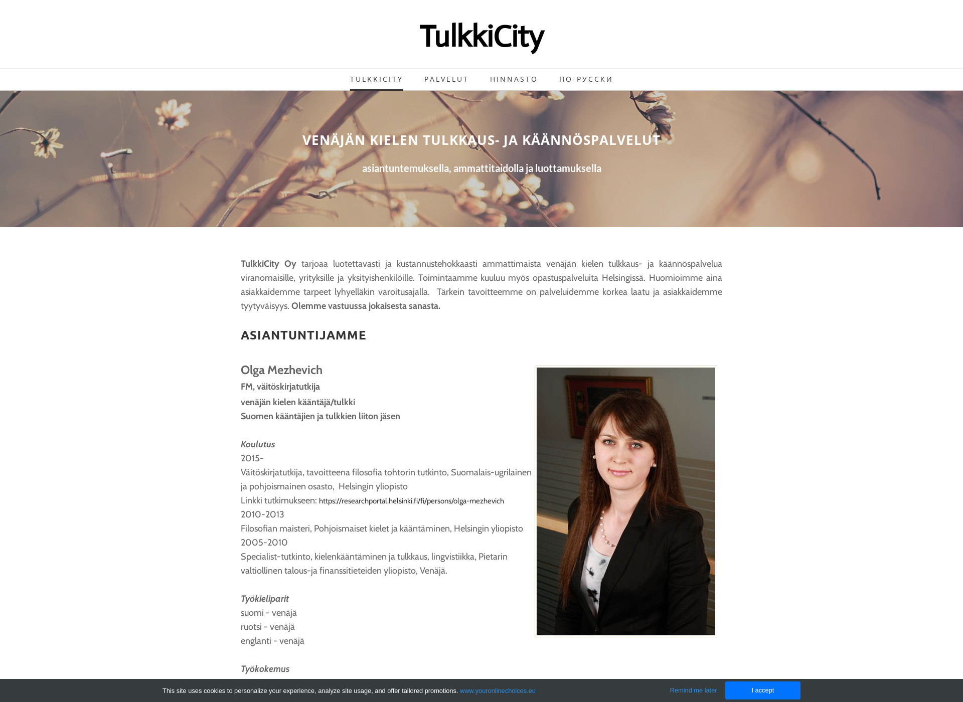 Screenshot for tulkkicity.fi