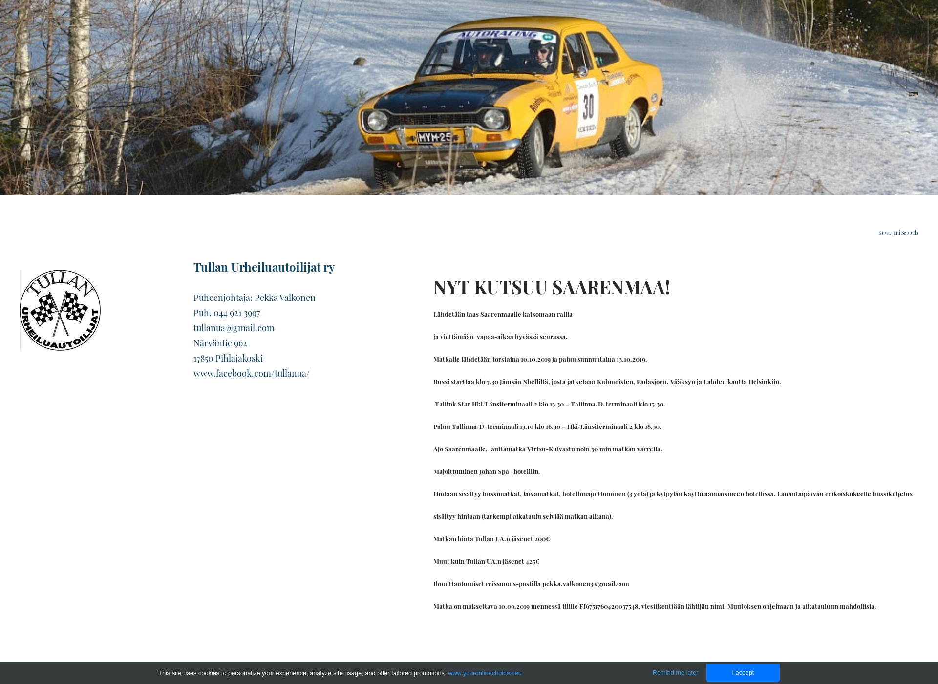 Screenshot for tullanua.fi