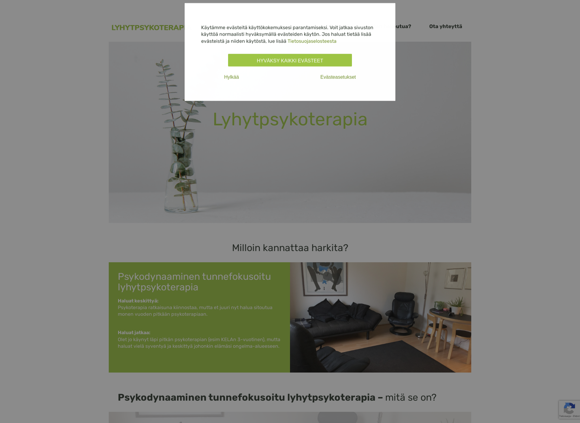 Skärmdump för tunnefokusoitu-psykodynaaminen-lyhytpsykoterapia.fi