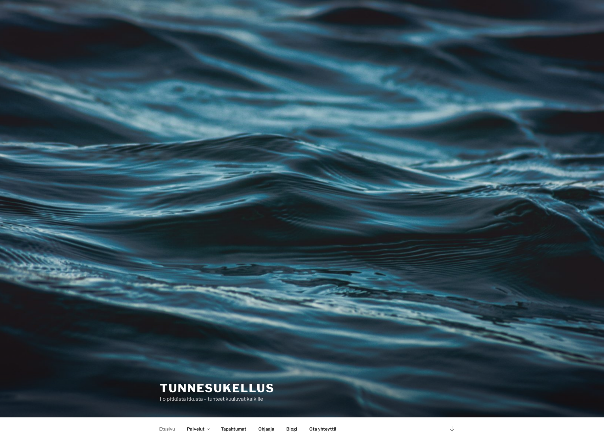 Screenshot for tunnesukellus.fi