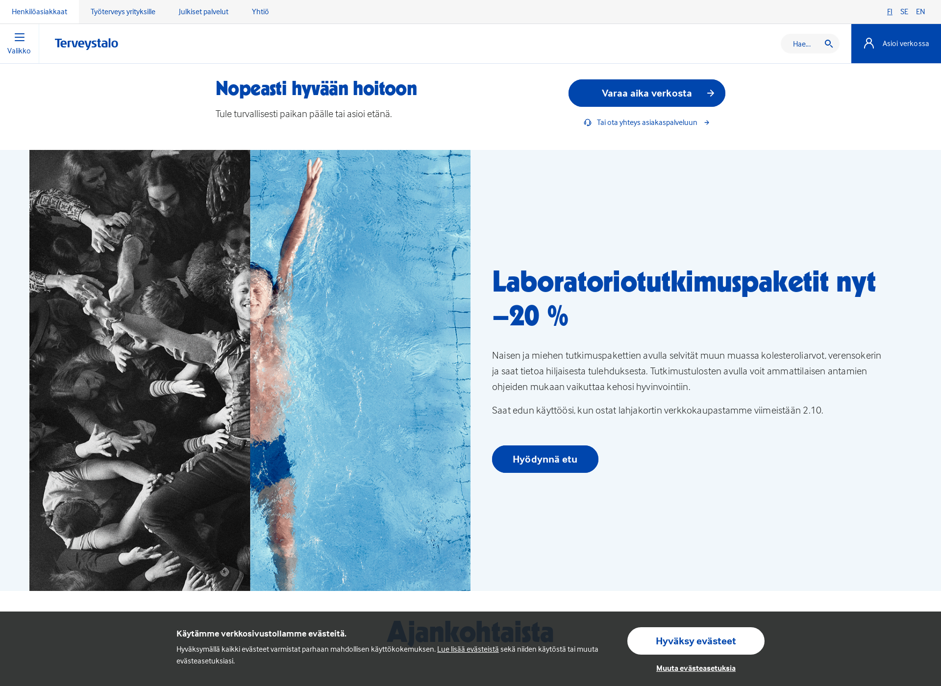 Skärmdump för tuottavuusanalyysi.fi
