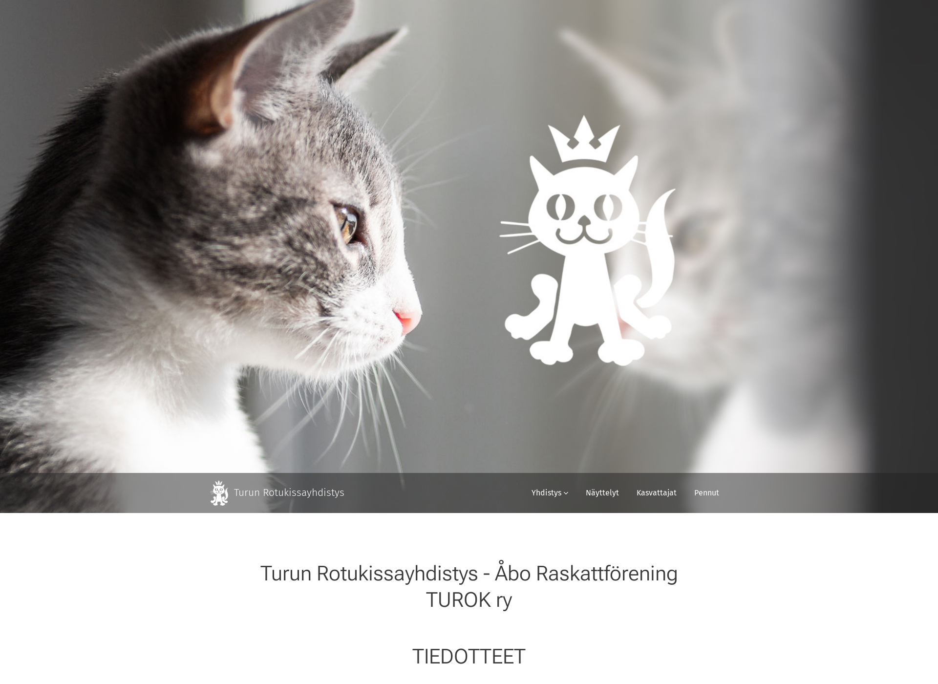 Screenshot for turok.fi
