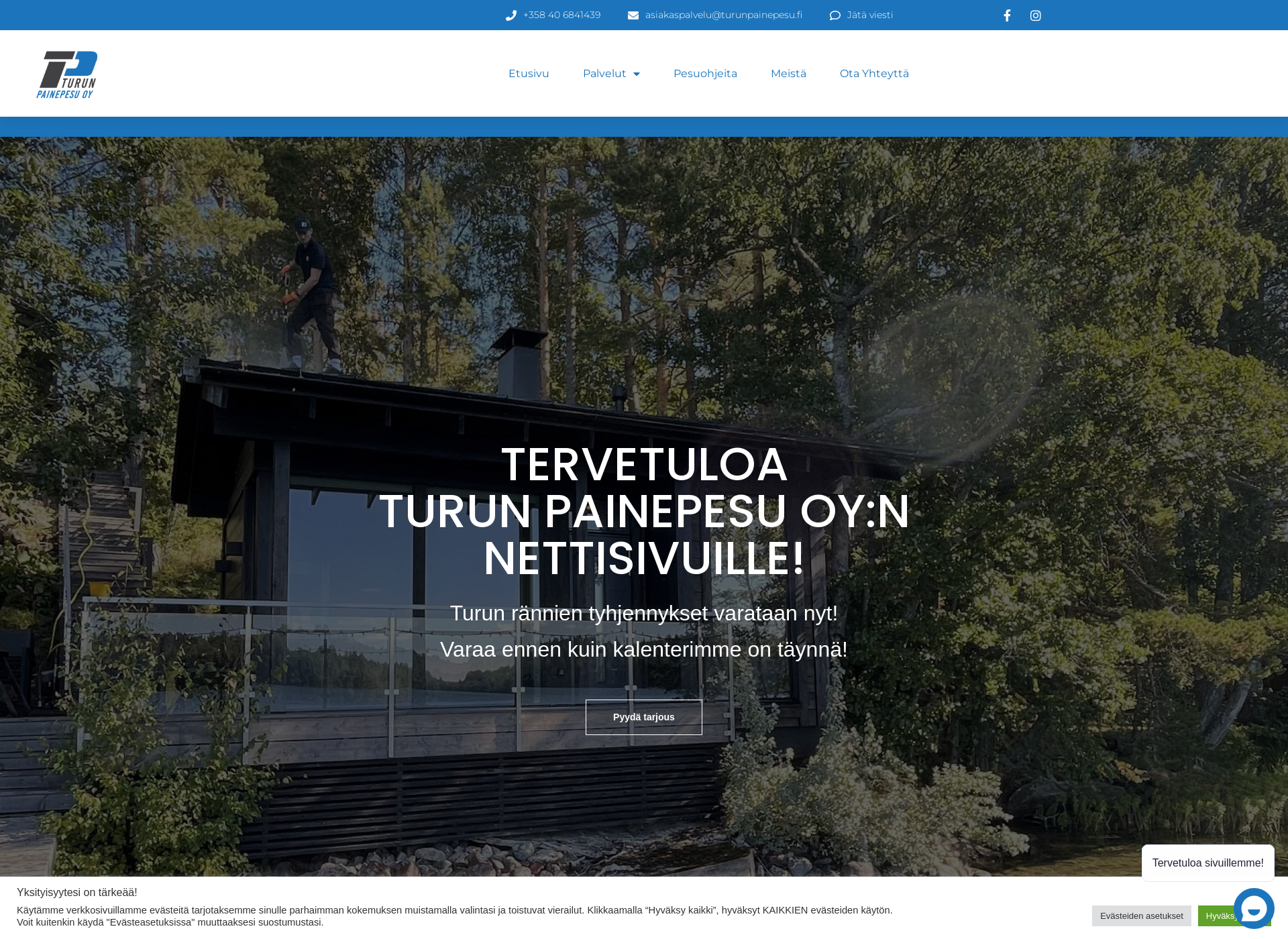 Screenshot for turunpainepesu.fi
