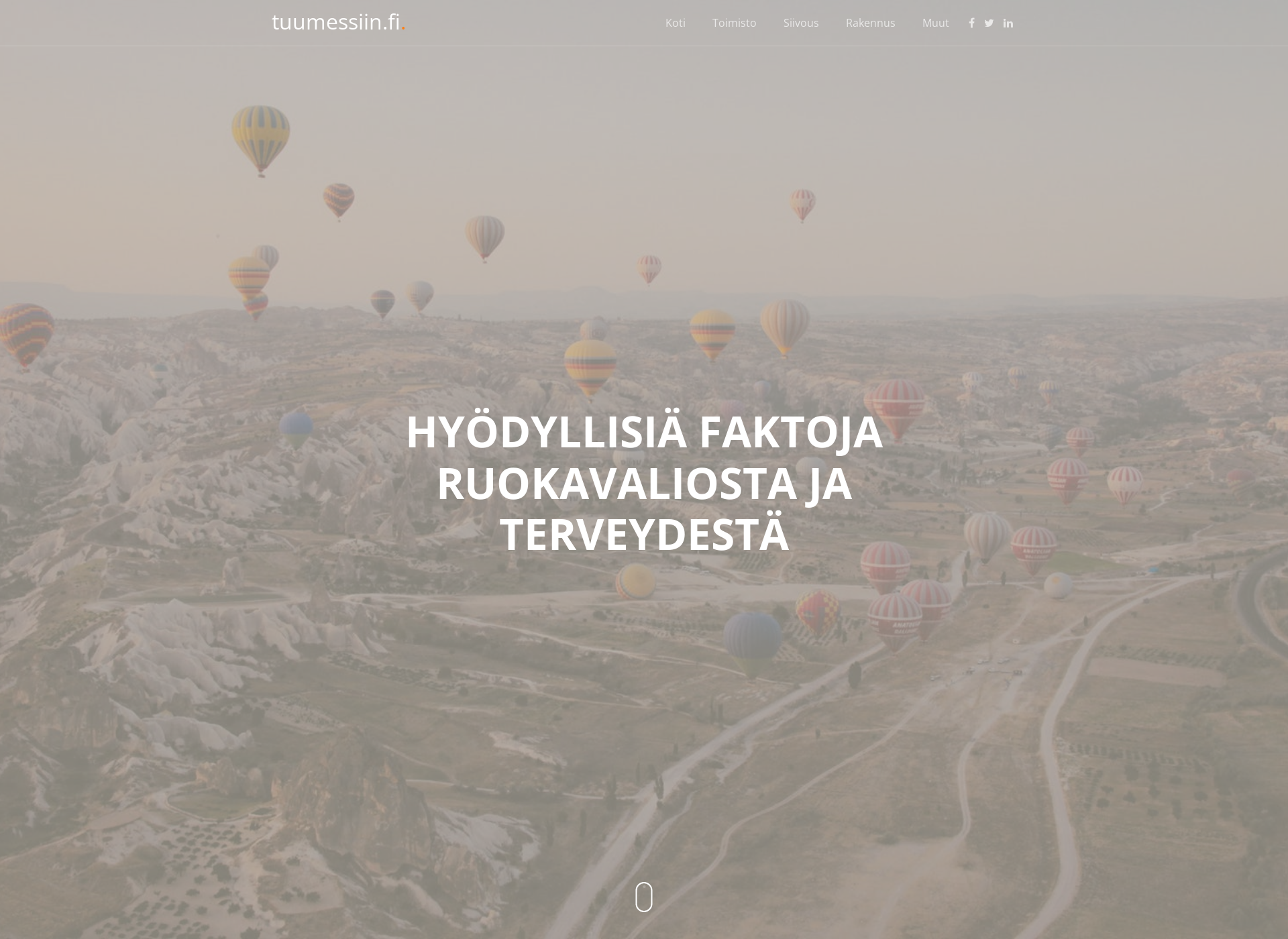 Screenshot for tuumessiin.fi